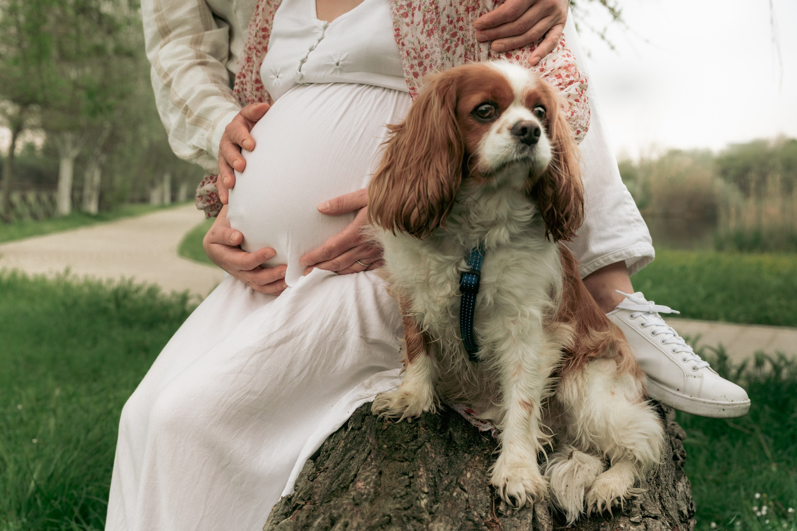 Maternity. Fotografo di famiglia, neonati, maternity, ritratti, matrimoni, cerimonie, Rimini