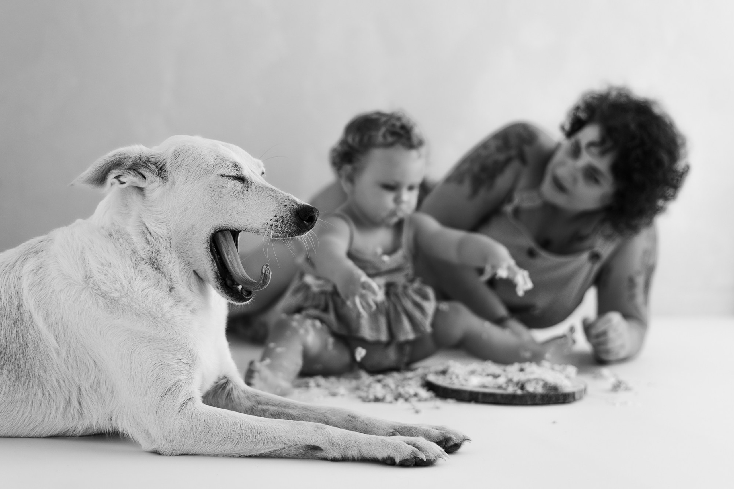 Smash Cake Noora. Fotografo di famiglia, neonati, maternity, ritratti, matrimoni, cerimonie, Rimini