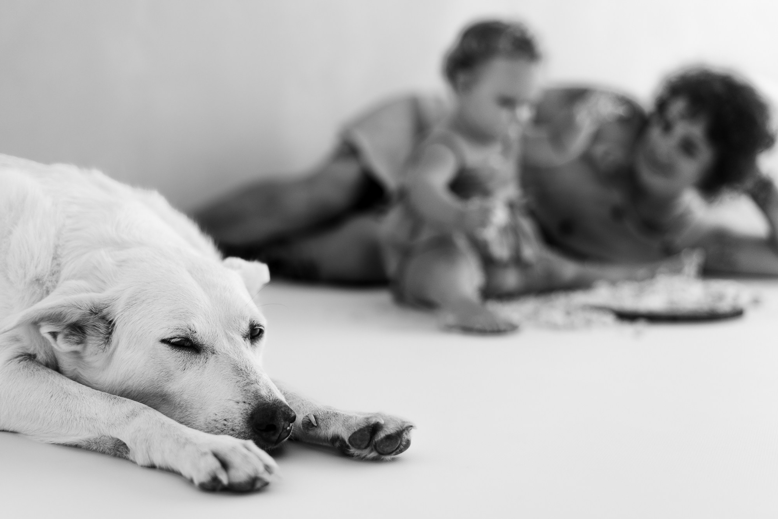 Smash Cake Noora. Fotografo di famiglia, neonati, maternity, ritratti, matrimoni, cerimonie, Rimini