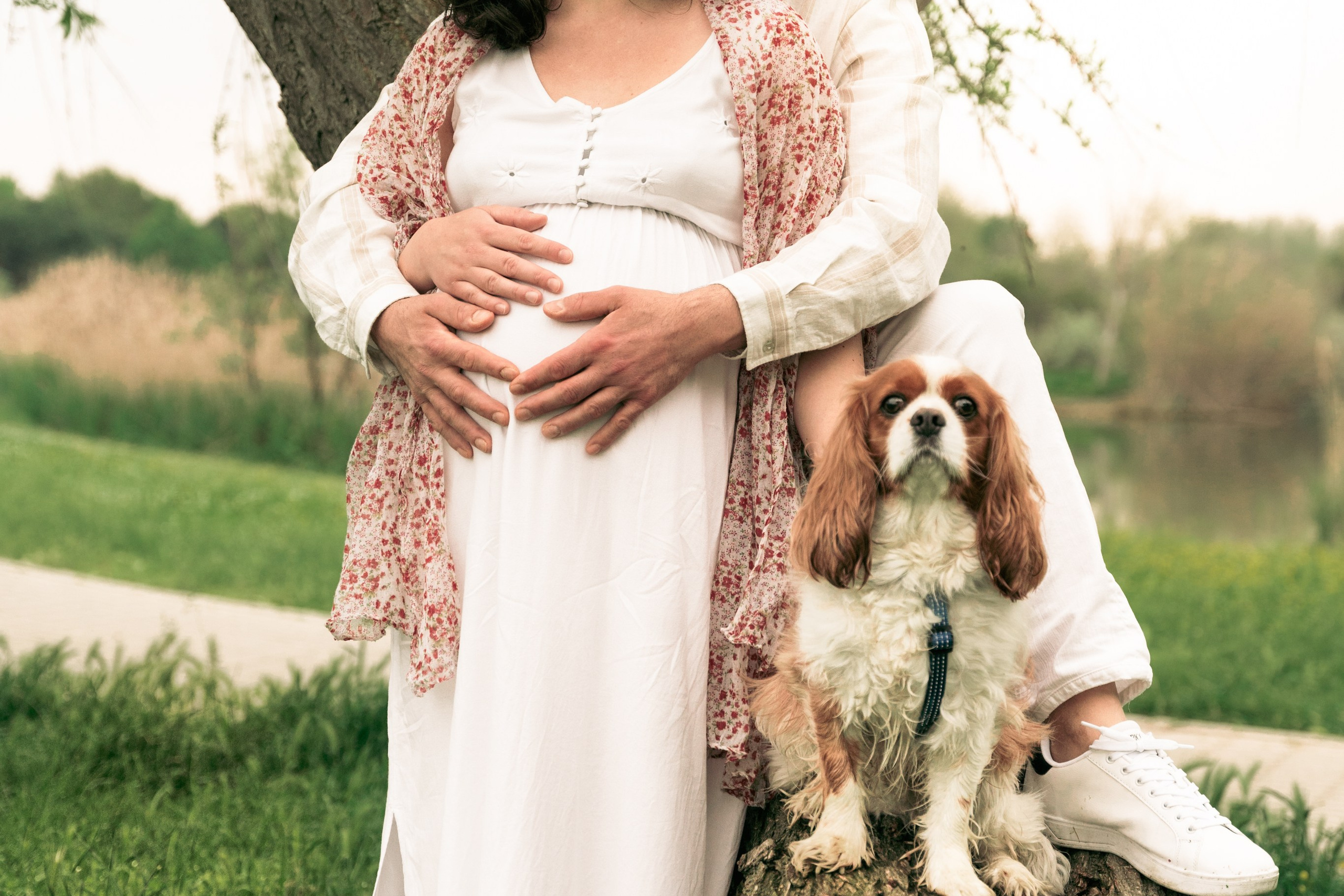 Maternity. Fotografo di famiglia, neonati, maternity, ritratti, matrimoni, cerimonie, Rimini