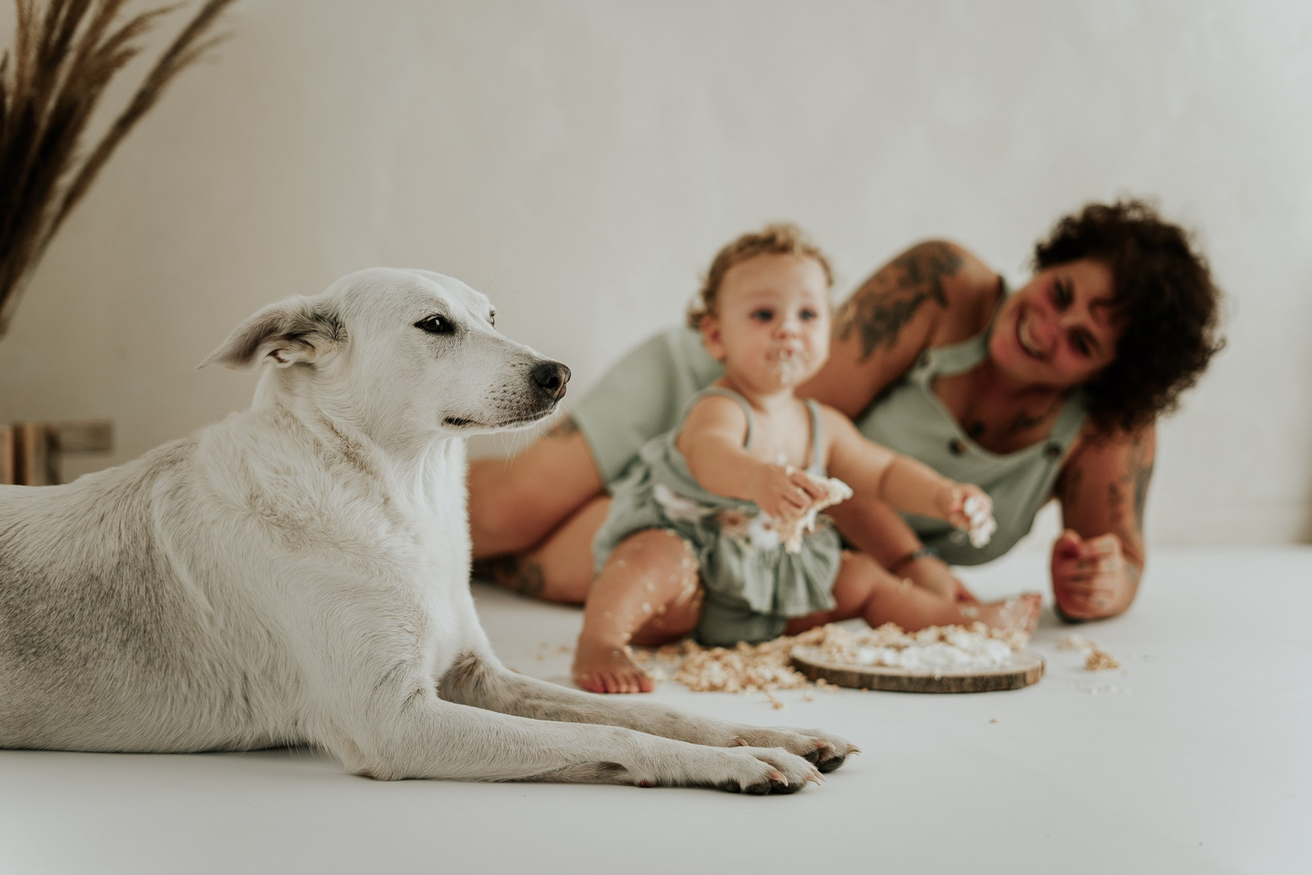 Smash Cake Noora. Fotografo di famiglia, neonati, maternity, ritratti, matrimoni, cerimonie, Rimini