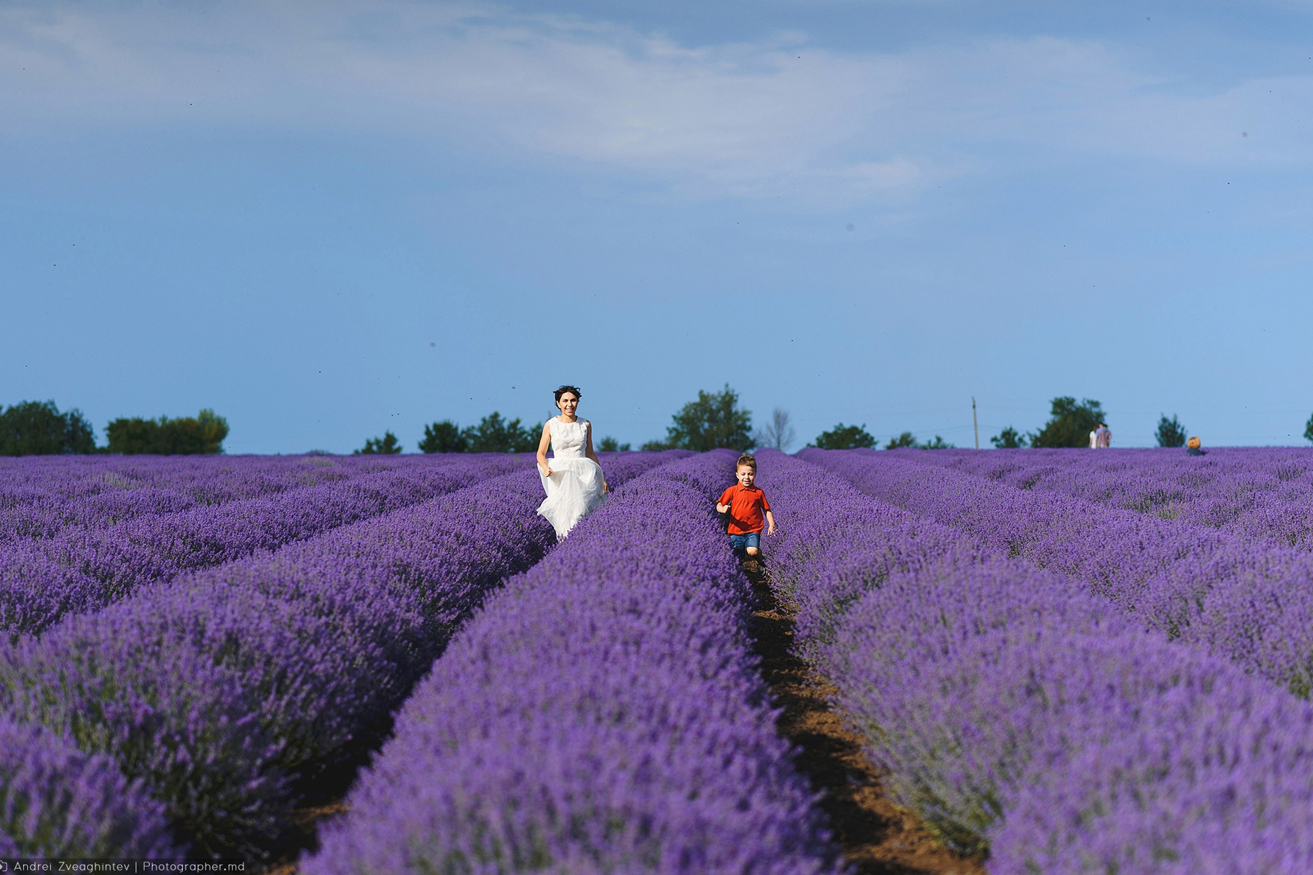 Family session in Lavender