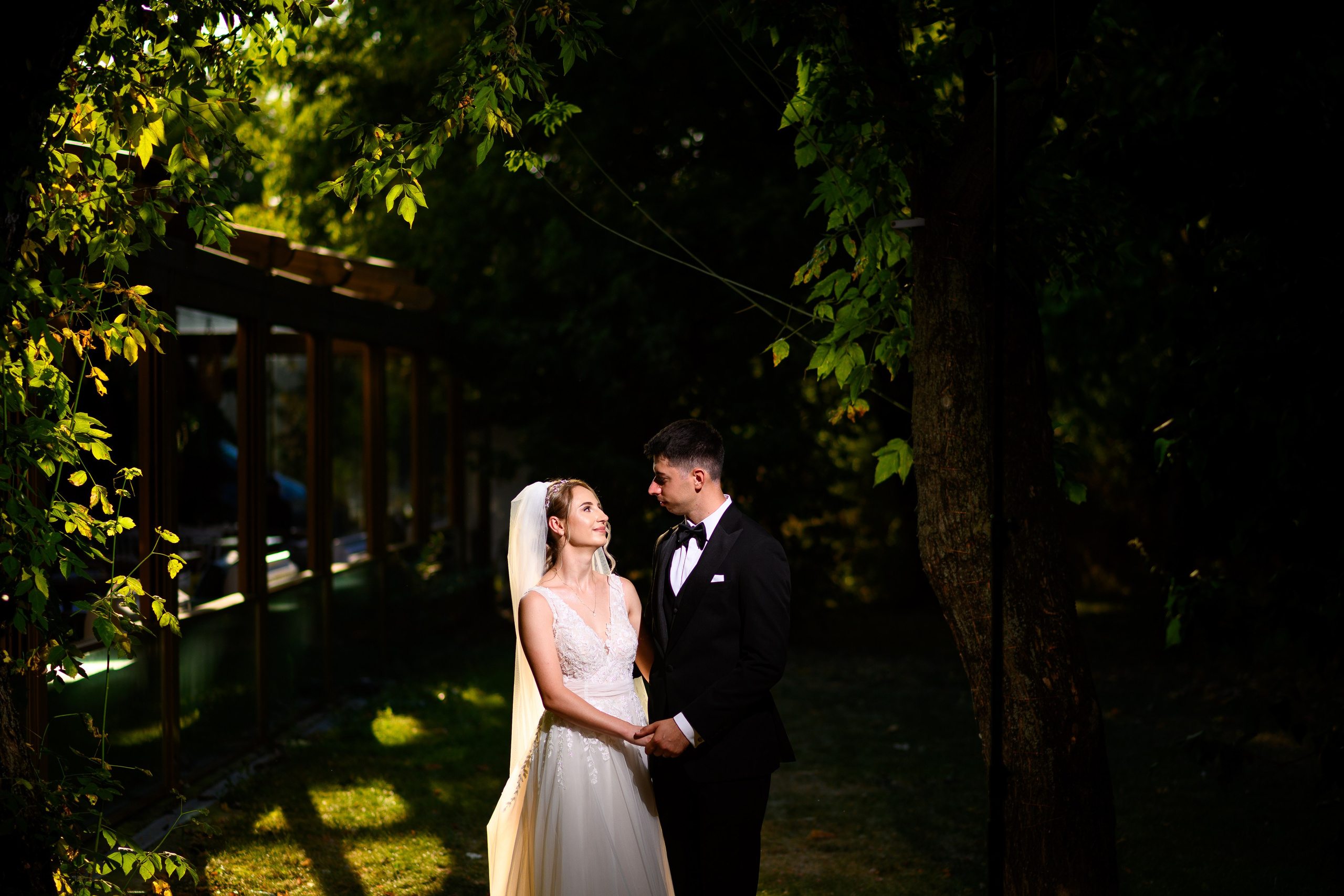 Leonard Ioan. Alin Doana Visual Art