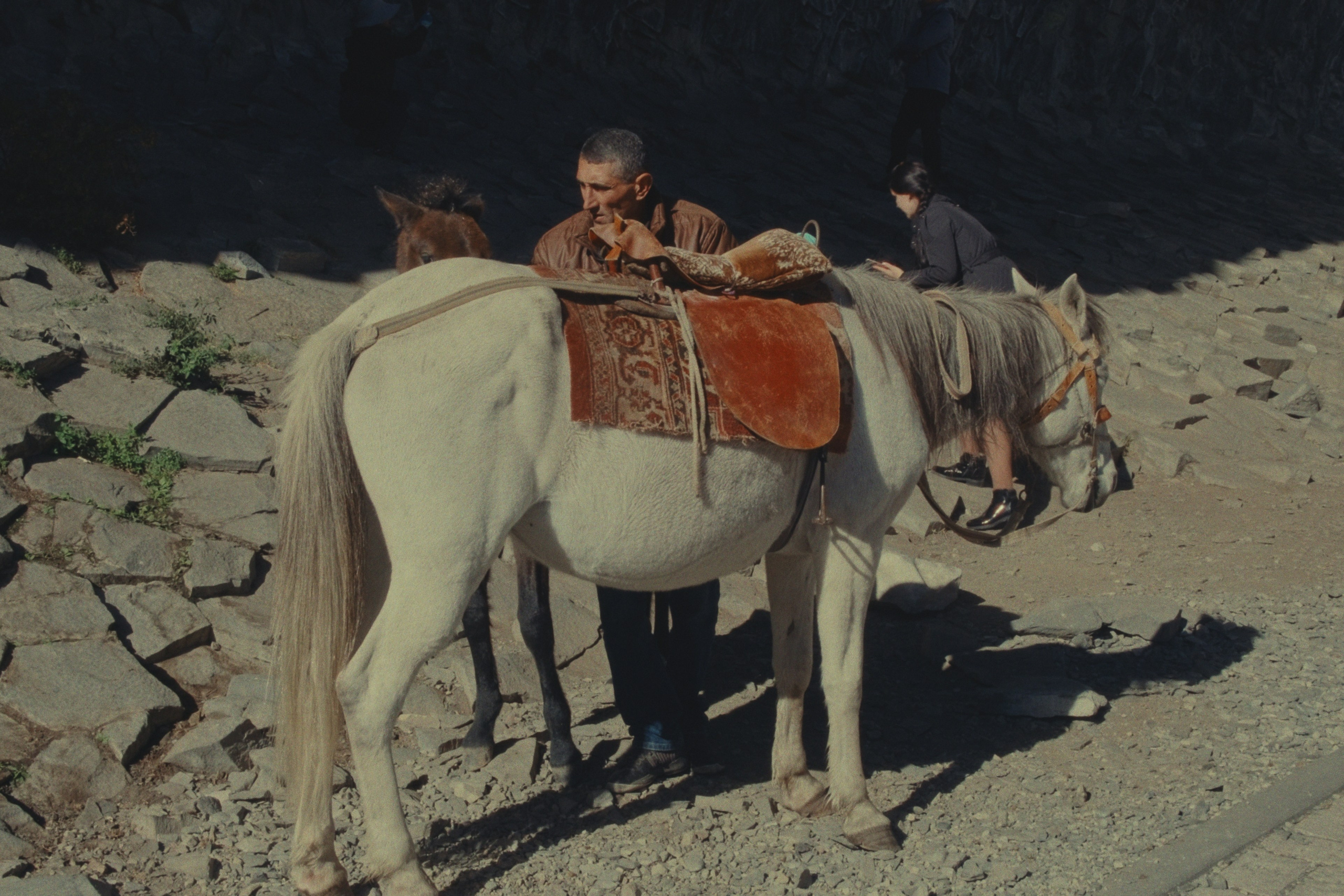 Color Grading. Portrait and Lifestyle Photographer in Vienna — Nick Pavlov