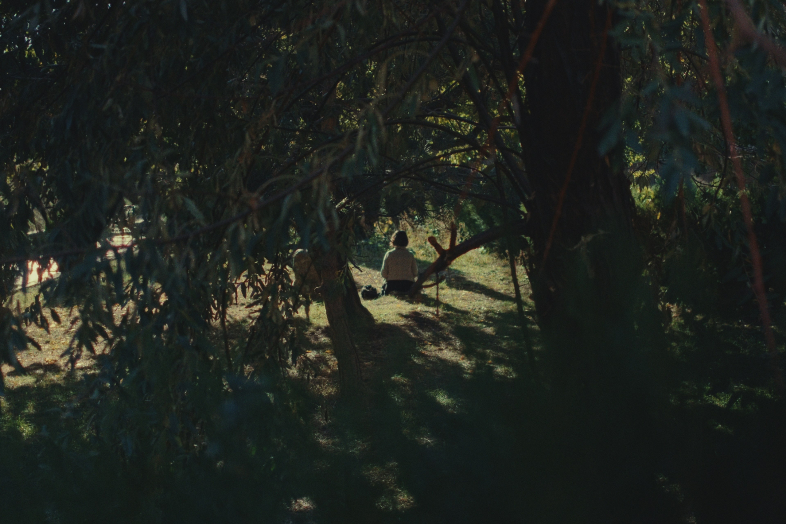 Color Grading. Portrait and Lifestyle Photographer in Vienna — Nick Pavlov