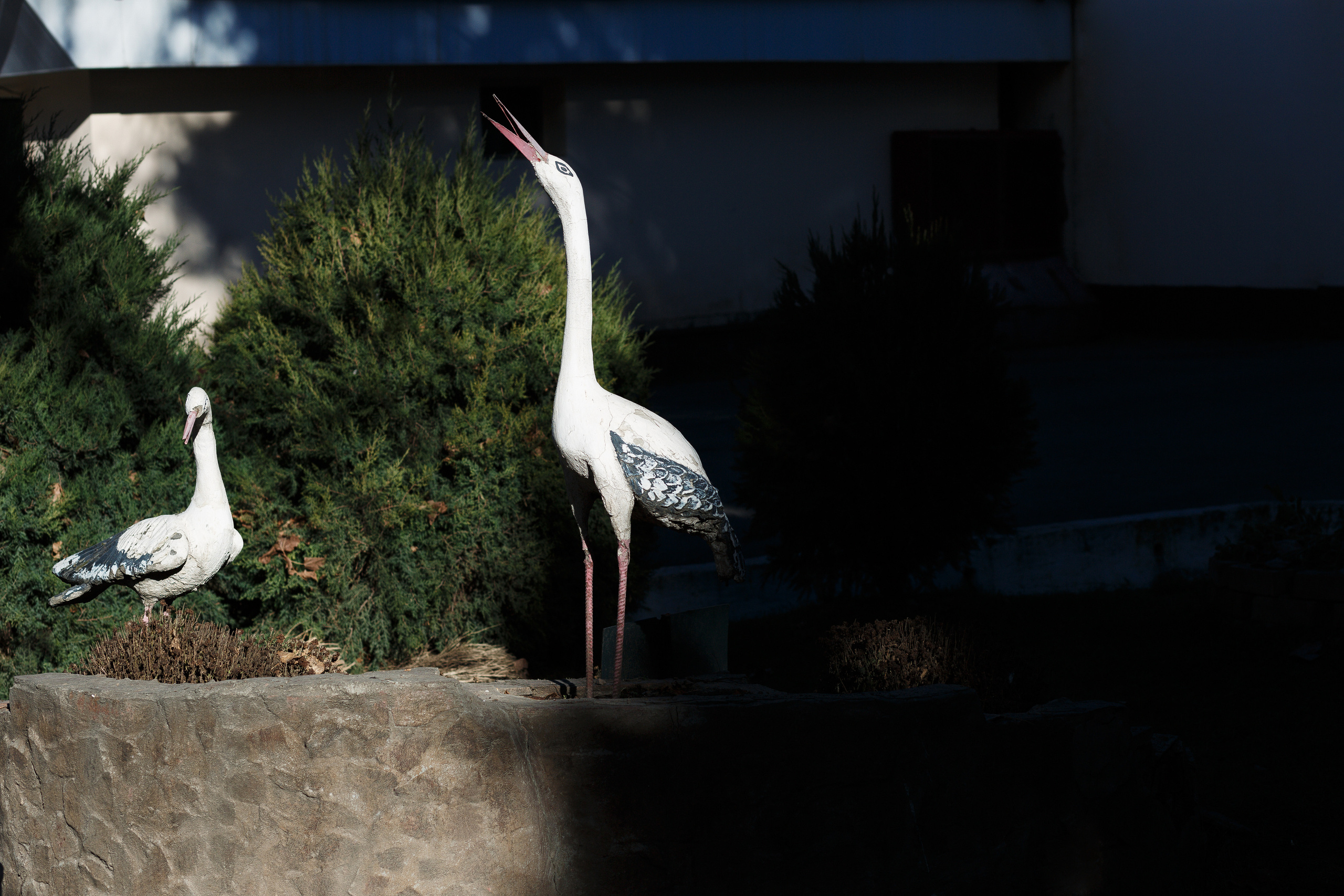 Асмира (Альбом)