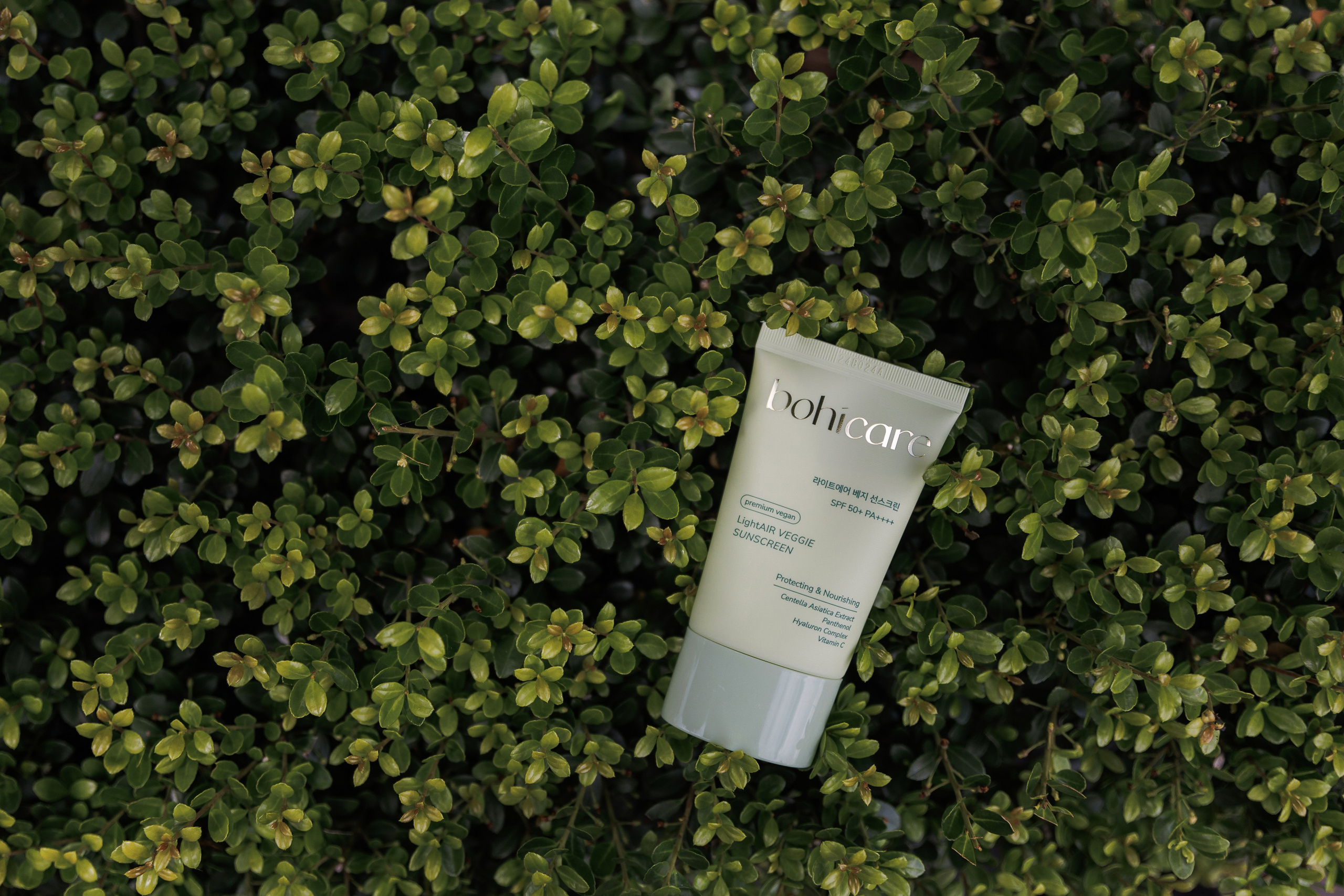 Jeju Island K-Beauty Tour (bohicare)