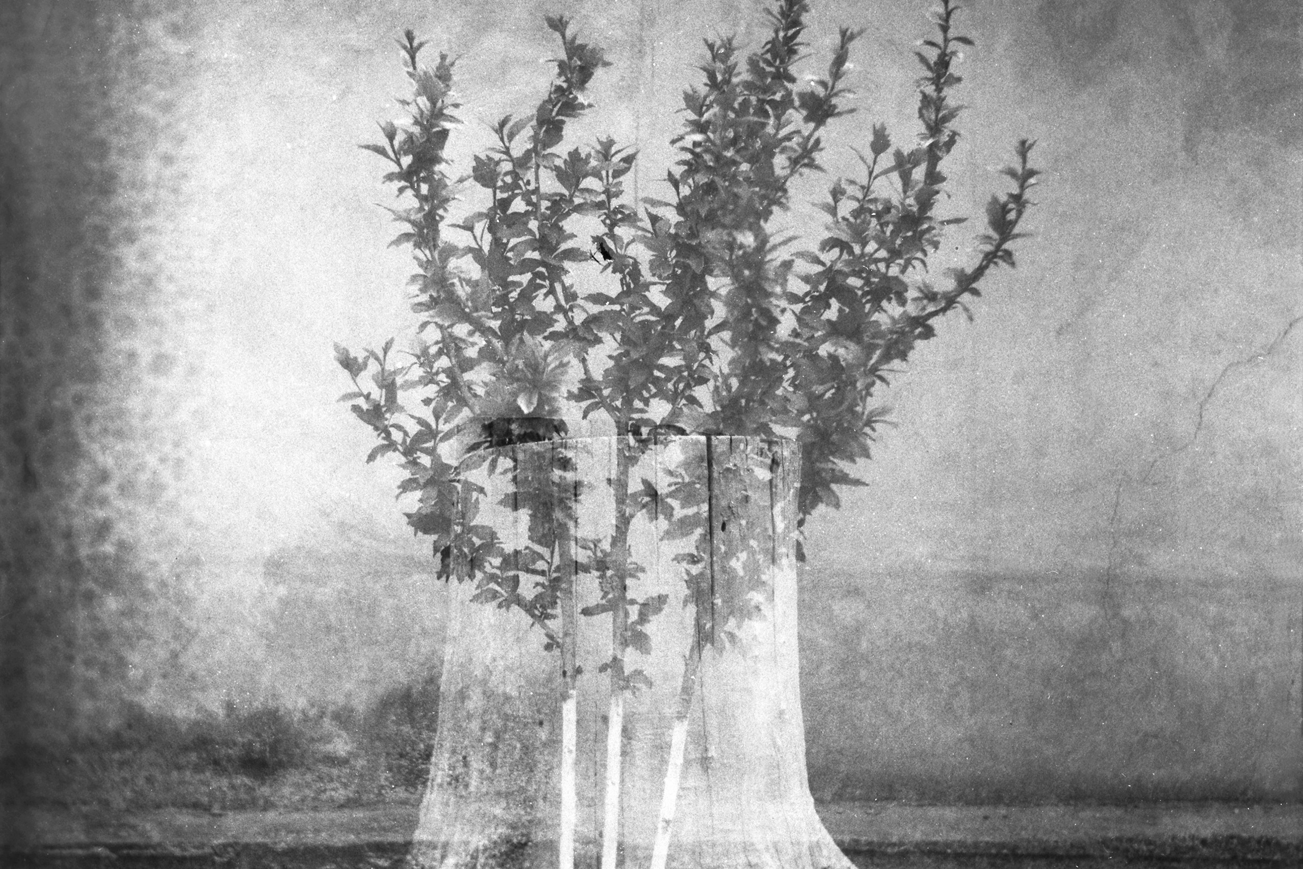 Tender Infinite Souls