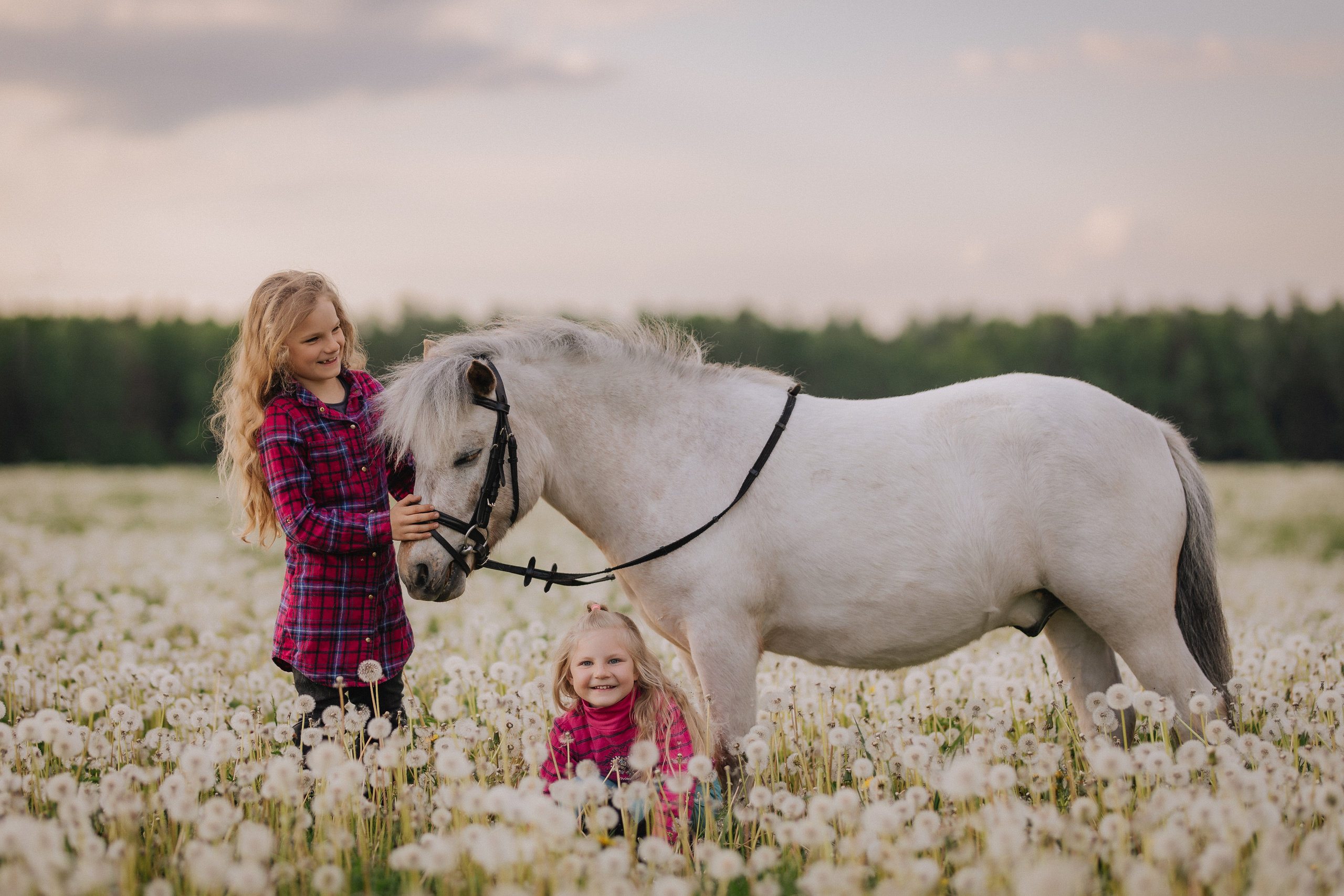 Liepa ir Luknė su Nemo