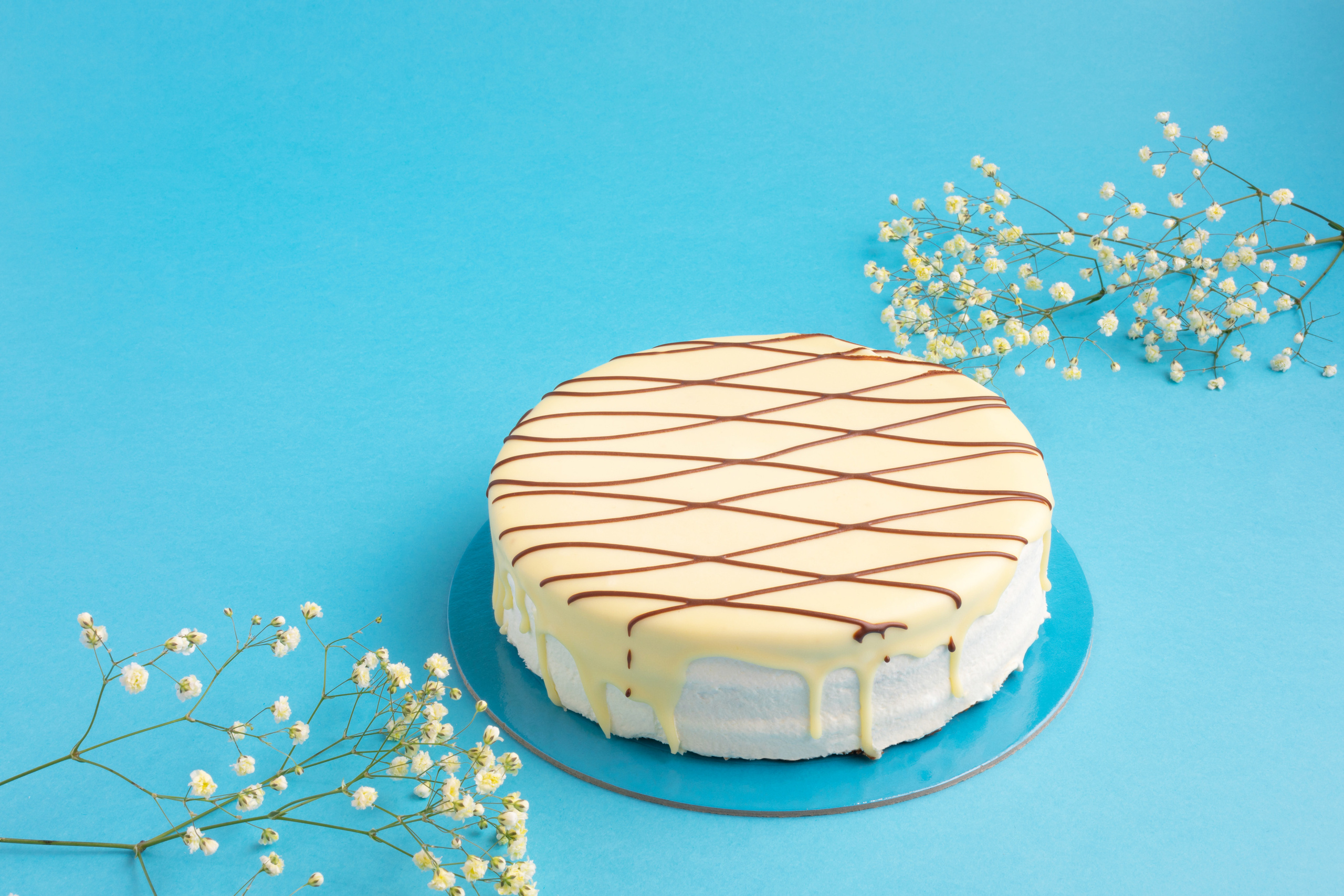 Торт Сметанник