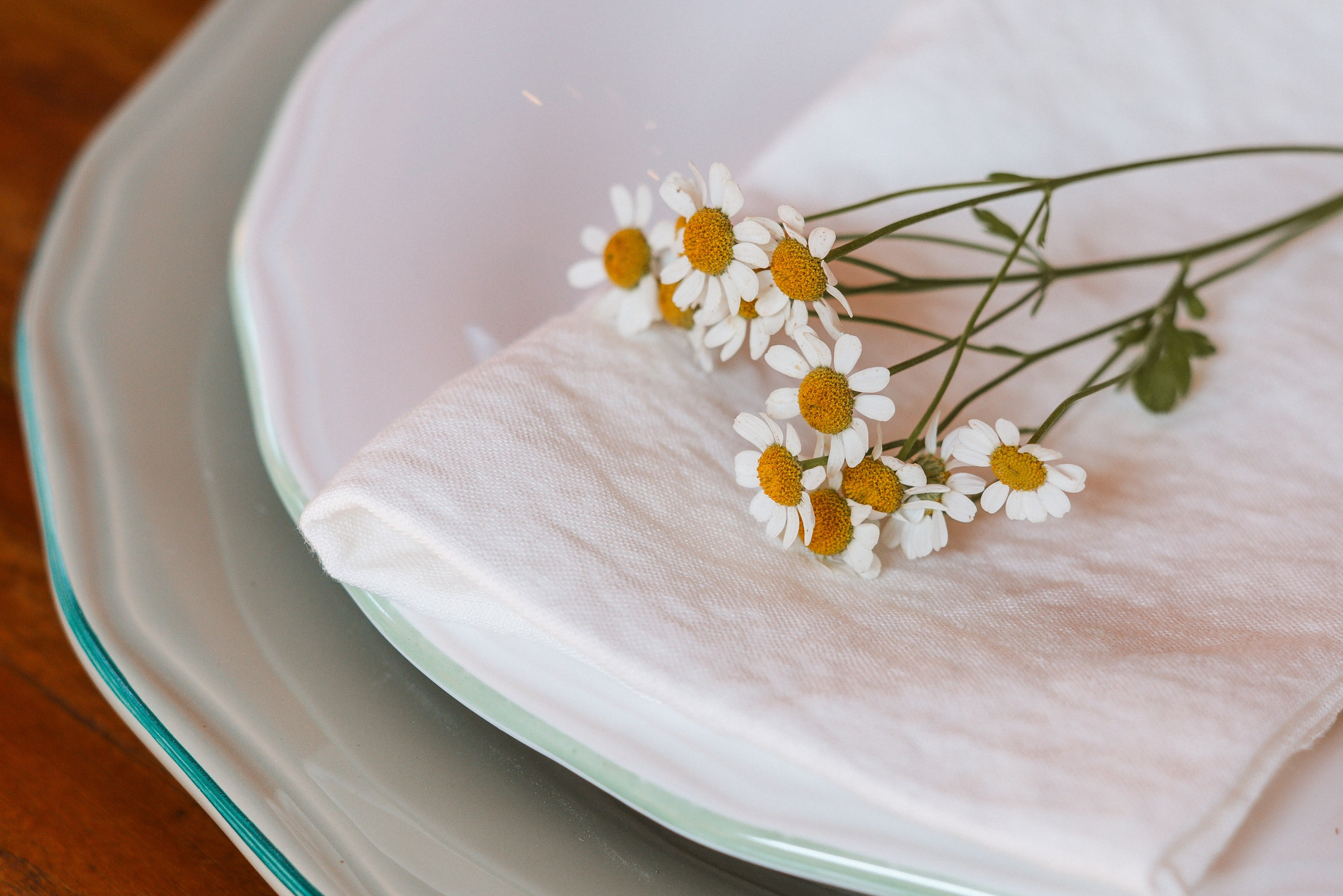 Zafferano - Plate shooting