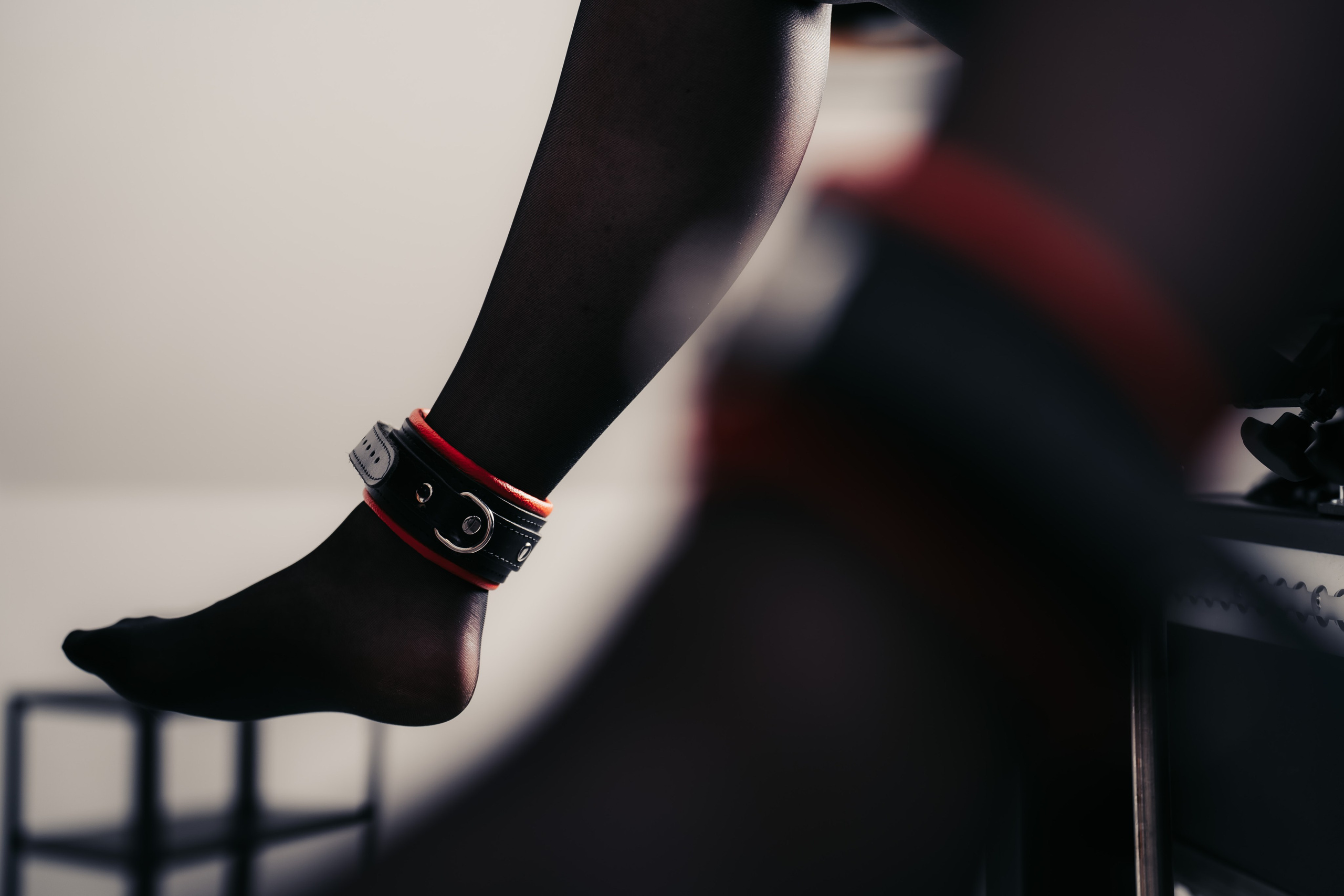 BDSM - Ferienwohnung