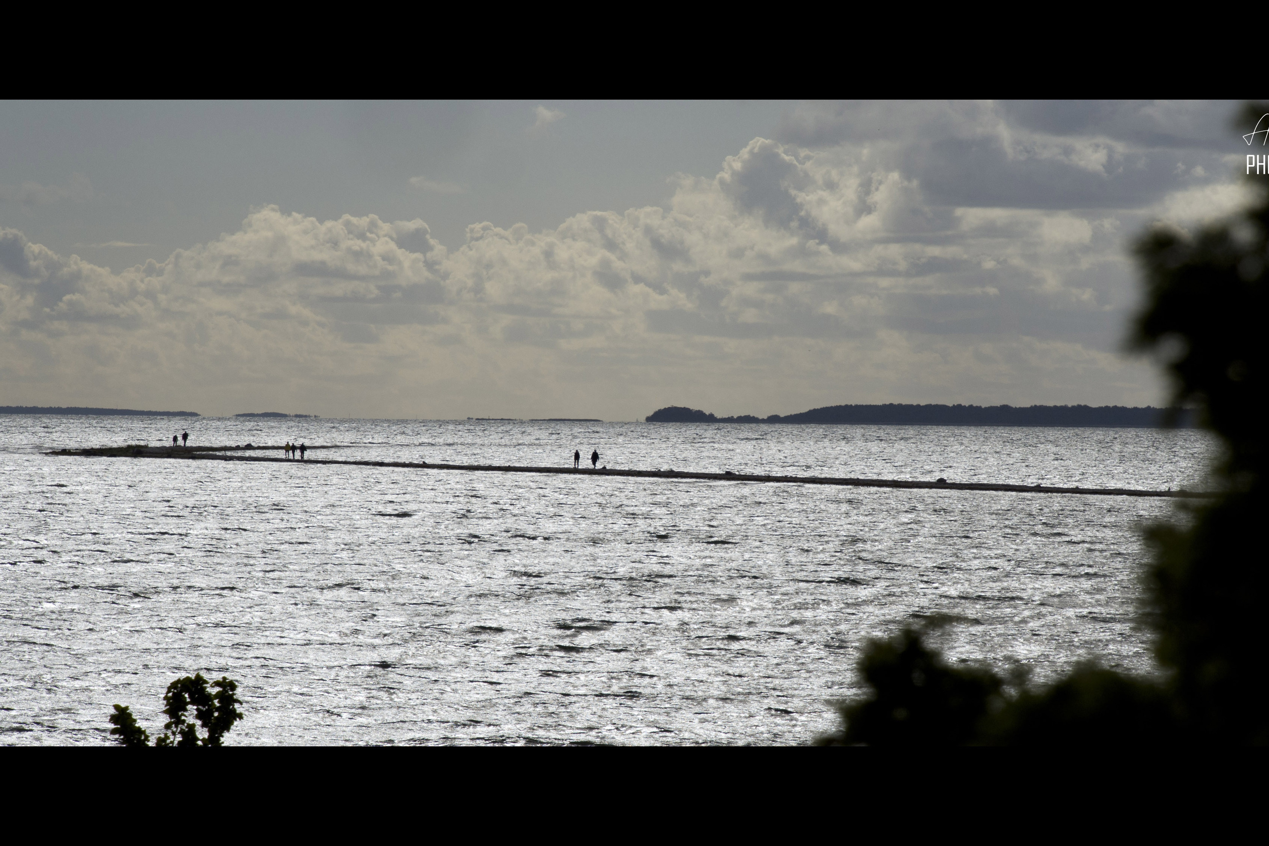 LANDSCAPES. Tuletorn Films | Film production company | Estonia