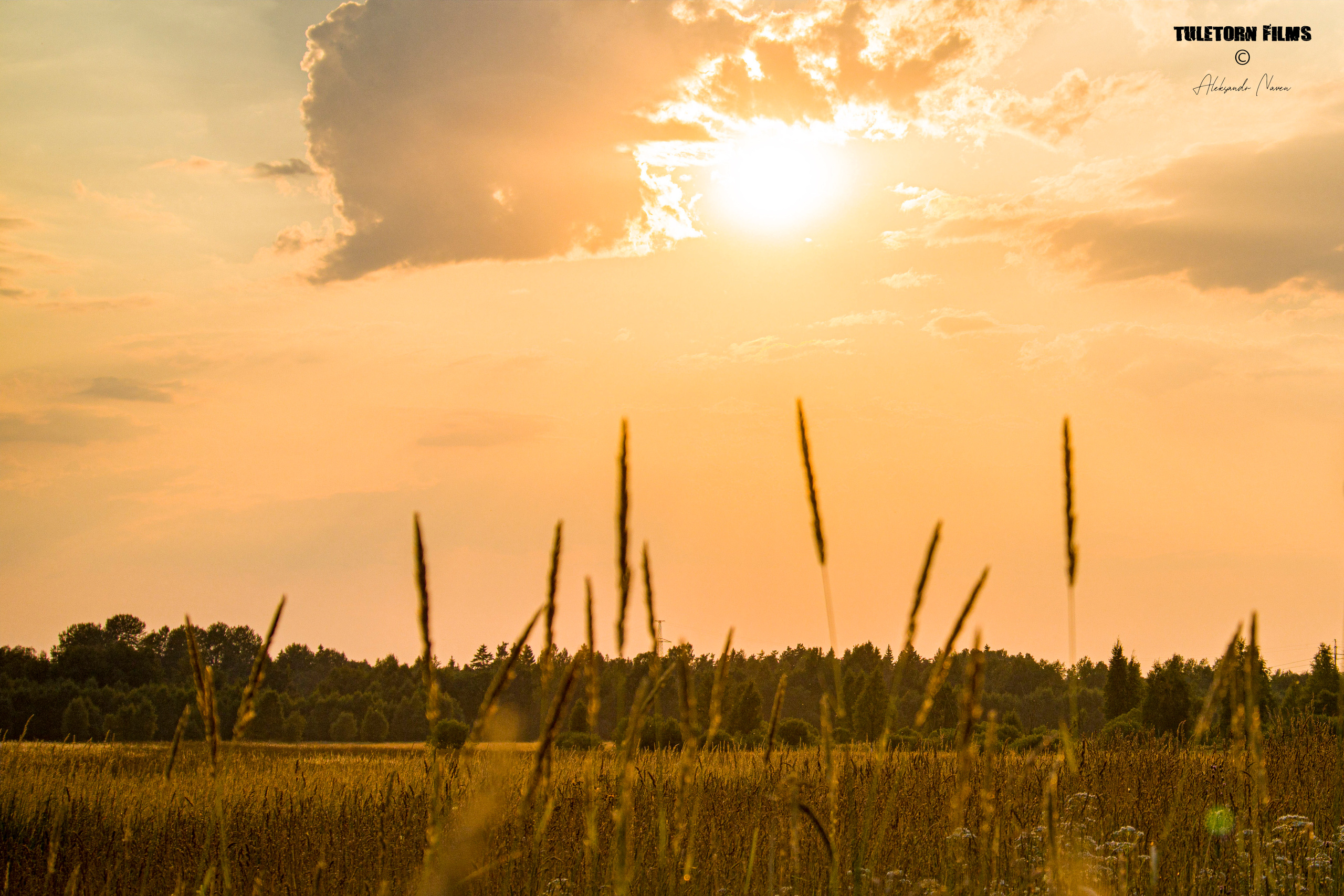 NATURE. Tuletorn Films | Film production company | Estonia