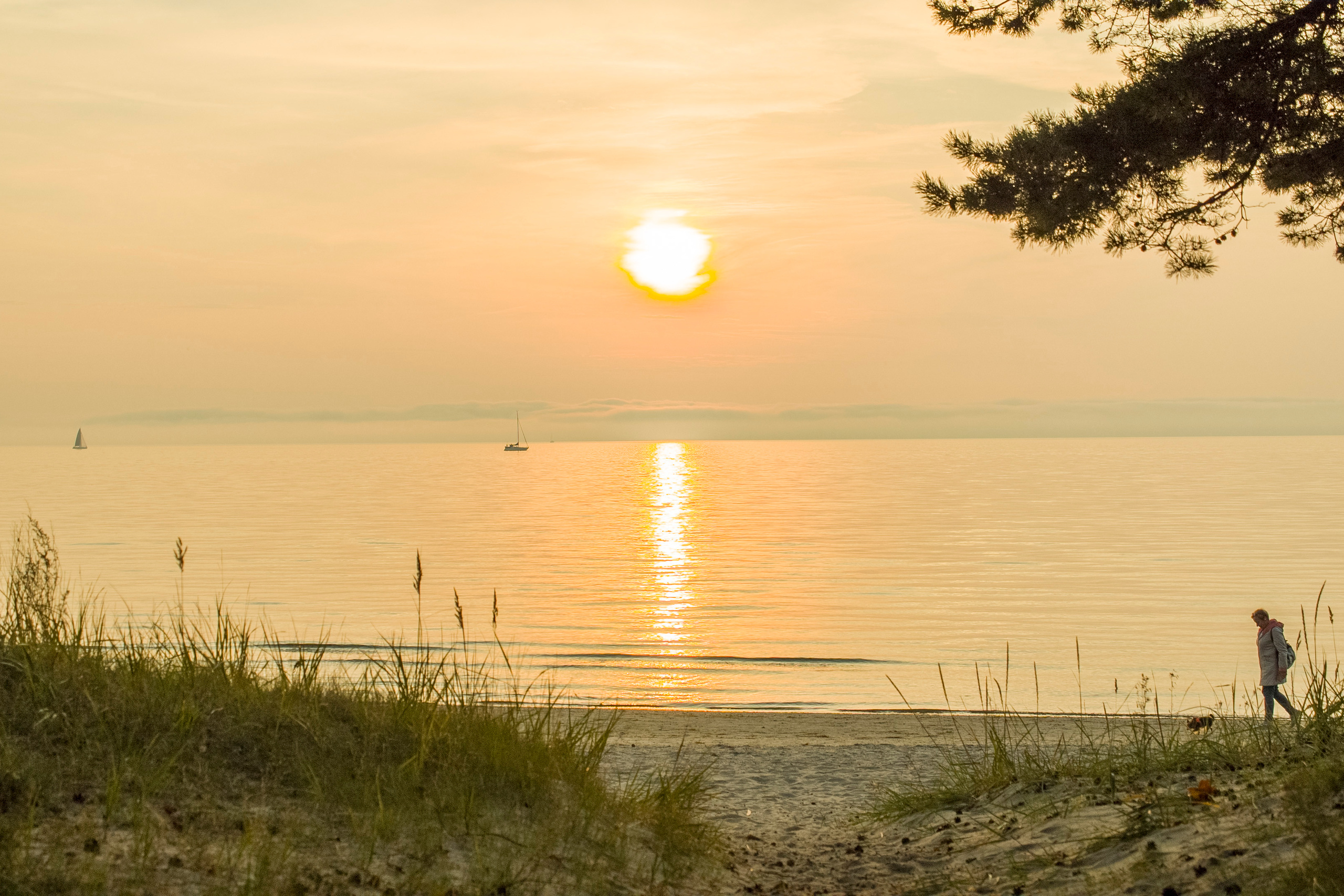 LANDSCAPES. Tuletorn Films | Film production company | Estonia