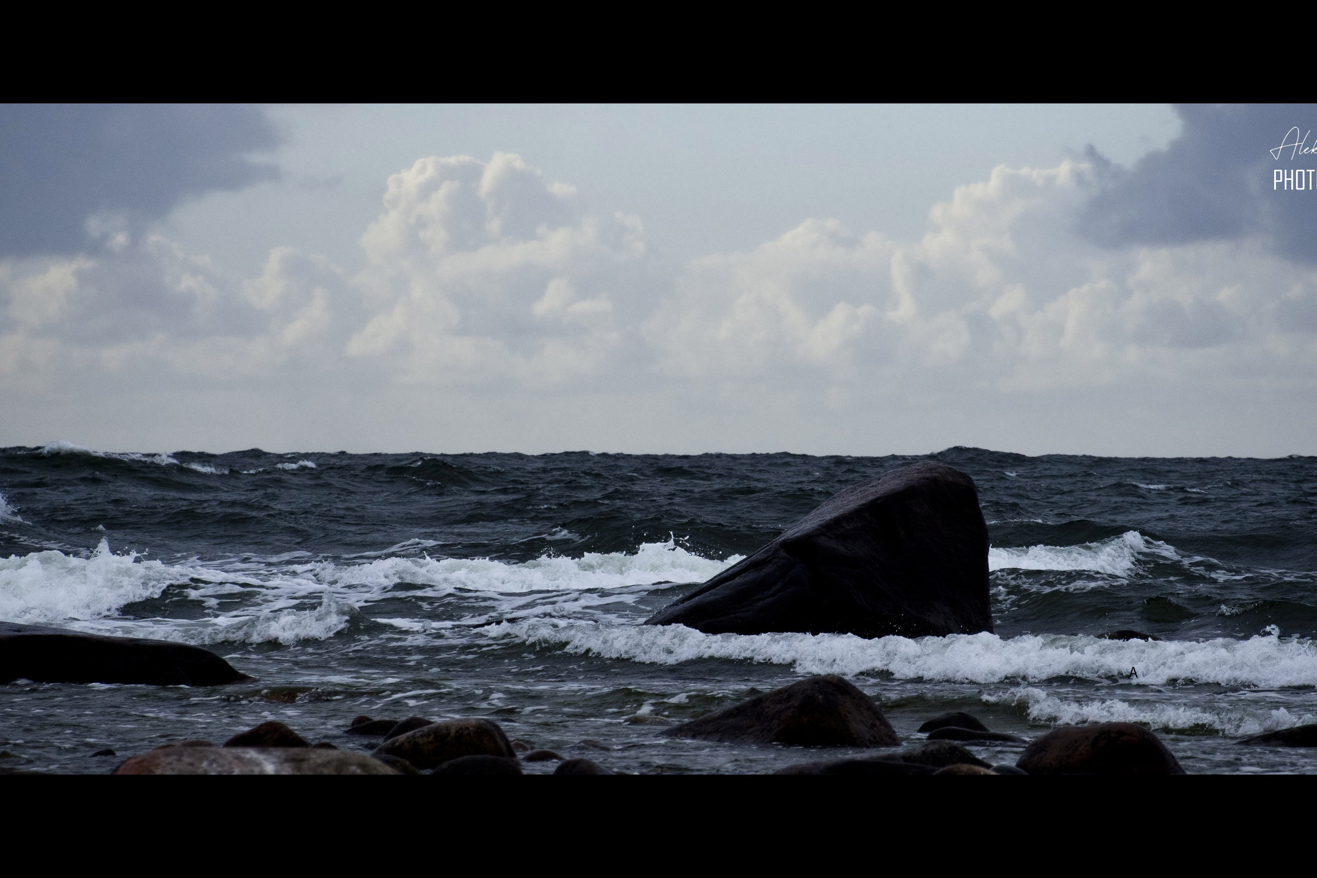 NATURE. Tuletorn Films | Film production company | Estonia