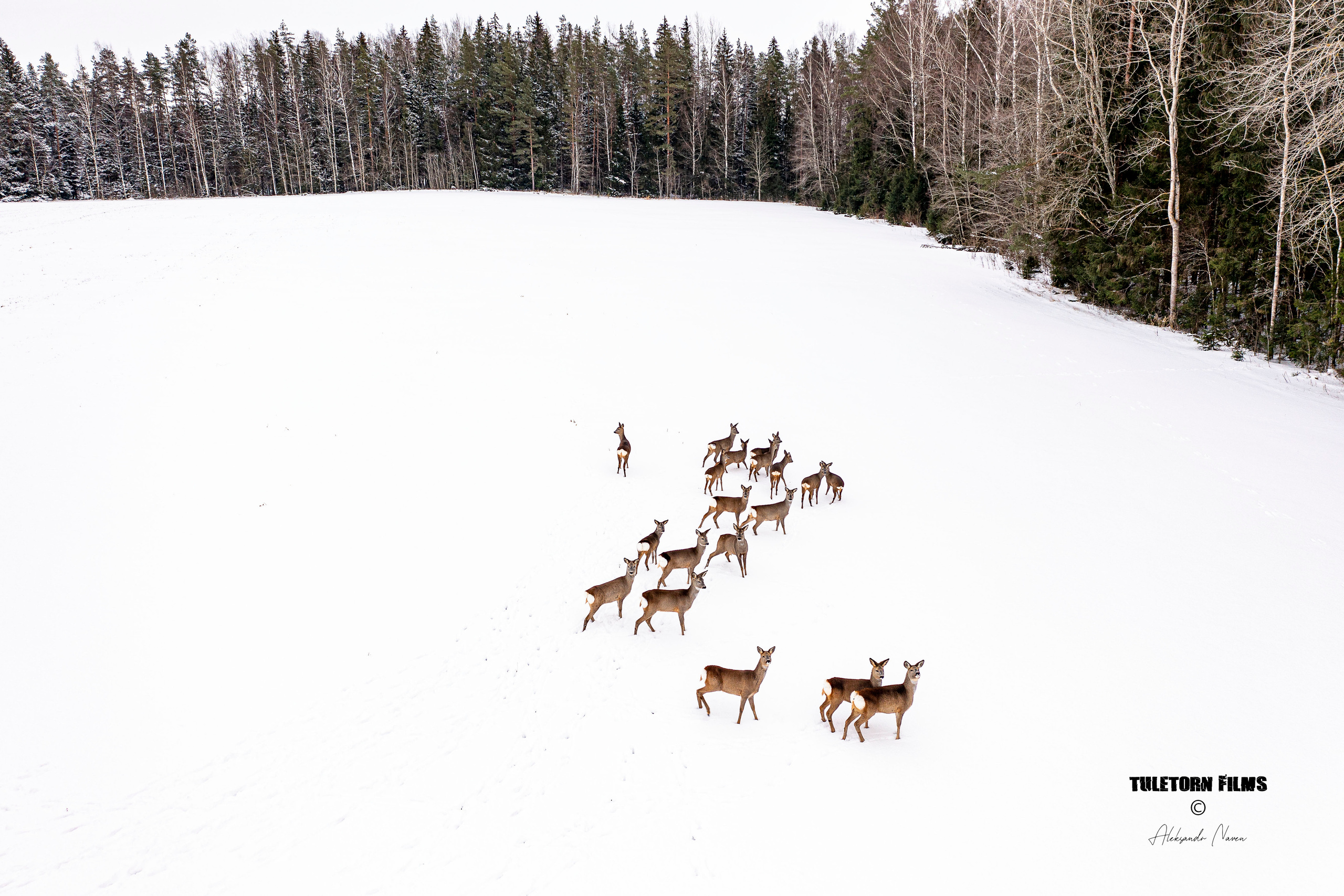 DRONE PHOTOGRAPHY. Tuletorn Films | Film production company | Estonia