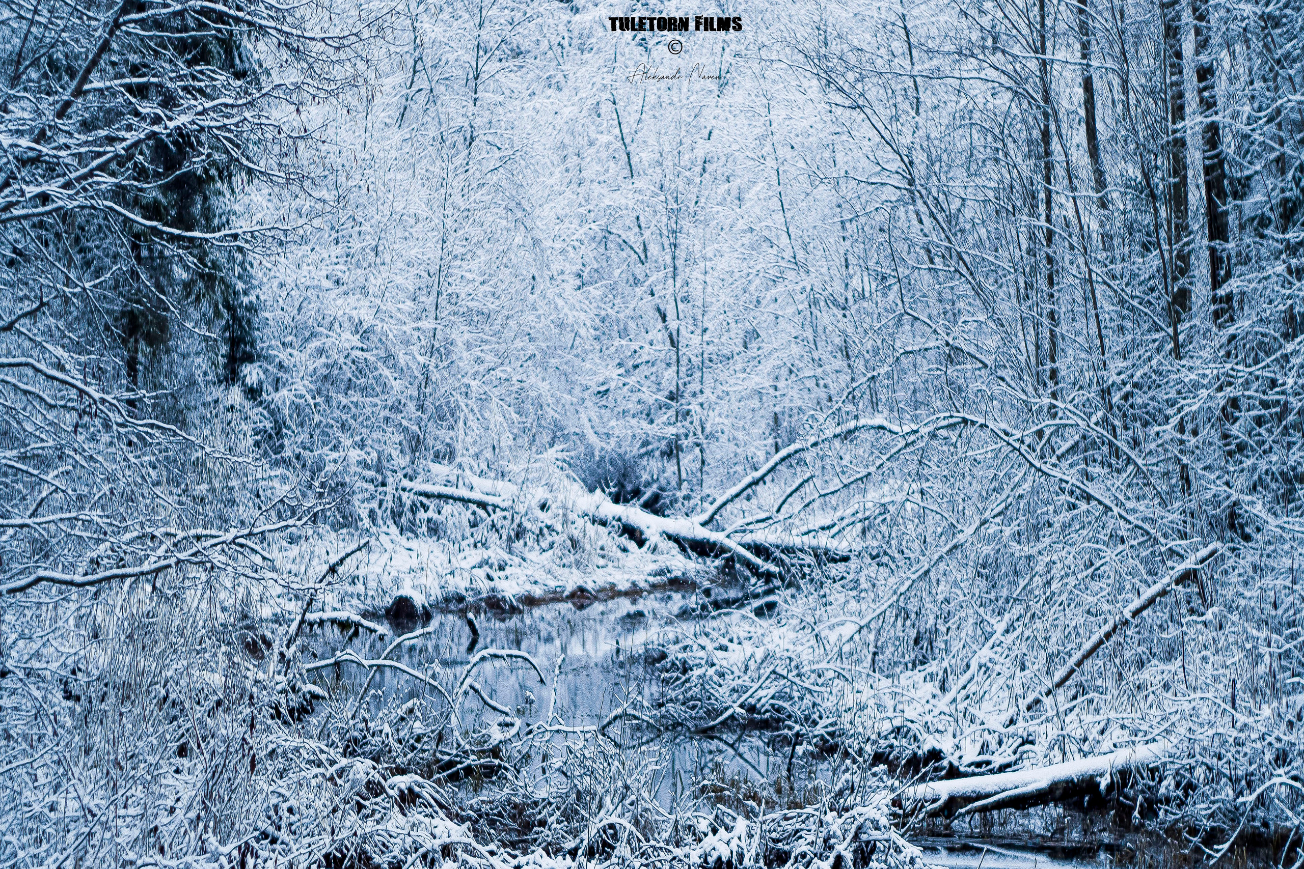 NATURE. Tuletorn Films | Film production company | Estonia