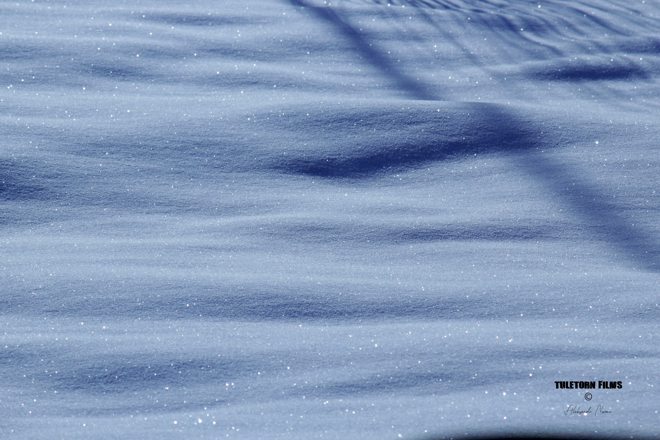 NATURE. Tuletorn Films | Film production company | Estonia