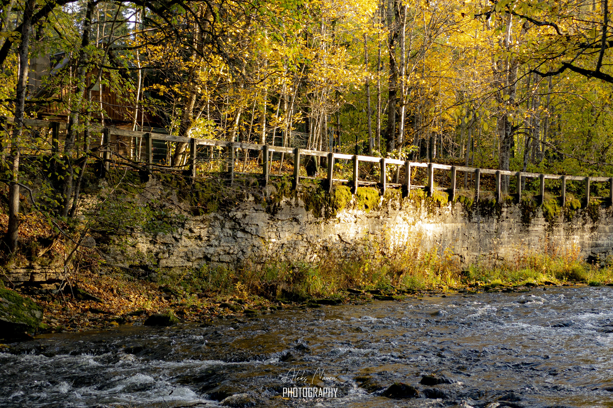 NATURE. Tuletorn Films | Film production company | Estonia