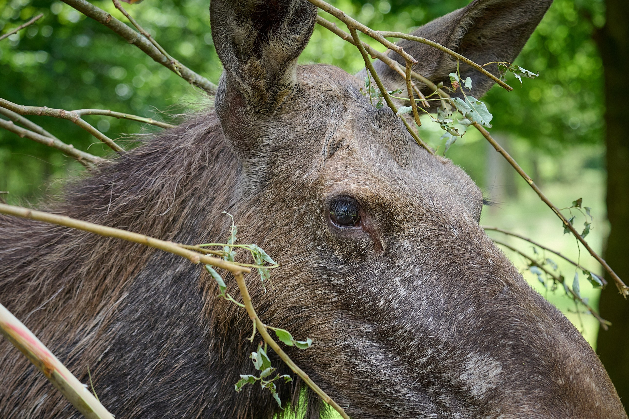 Yury Popkov phot blog. Yuri Popkov | Photographer