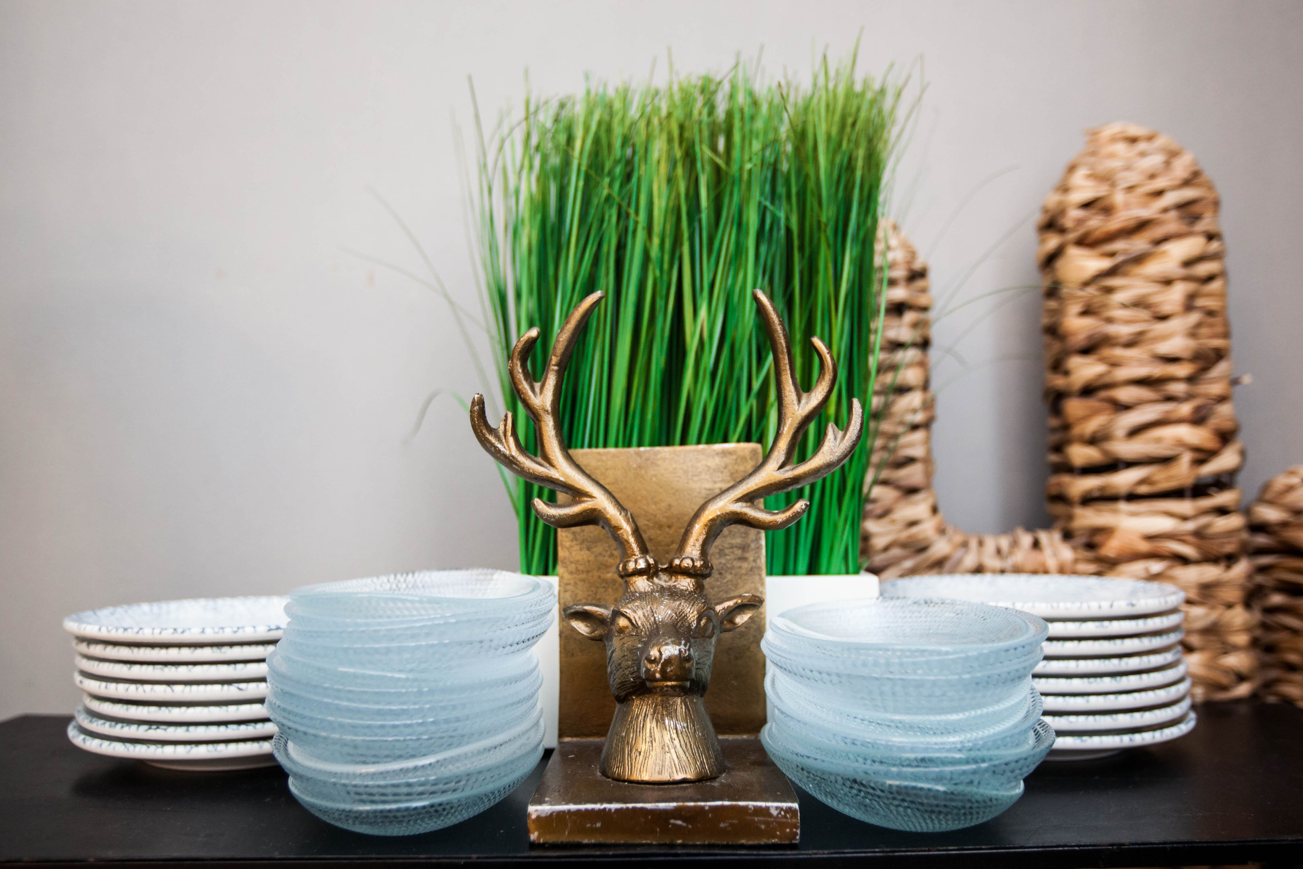 Portonovi conferention TLV (David Continental Hotel). Photographer and videographer in Tel Aviv Mary Pann