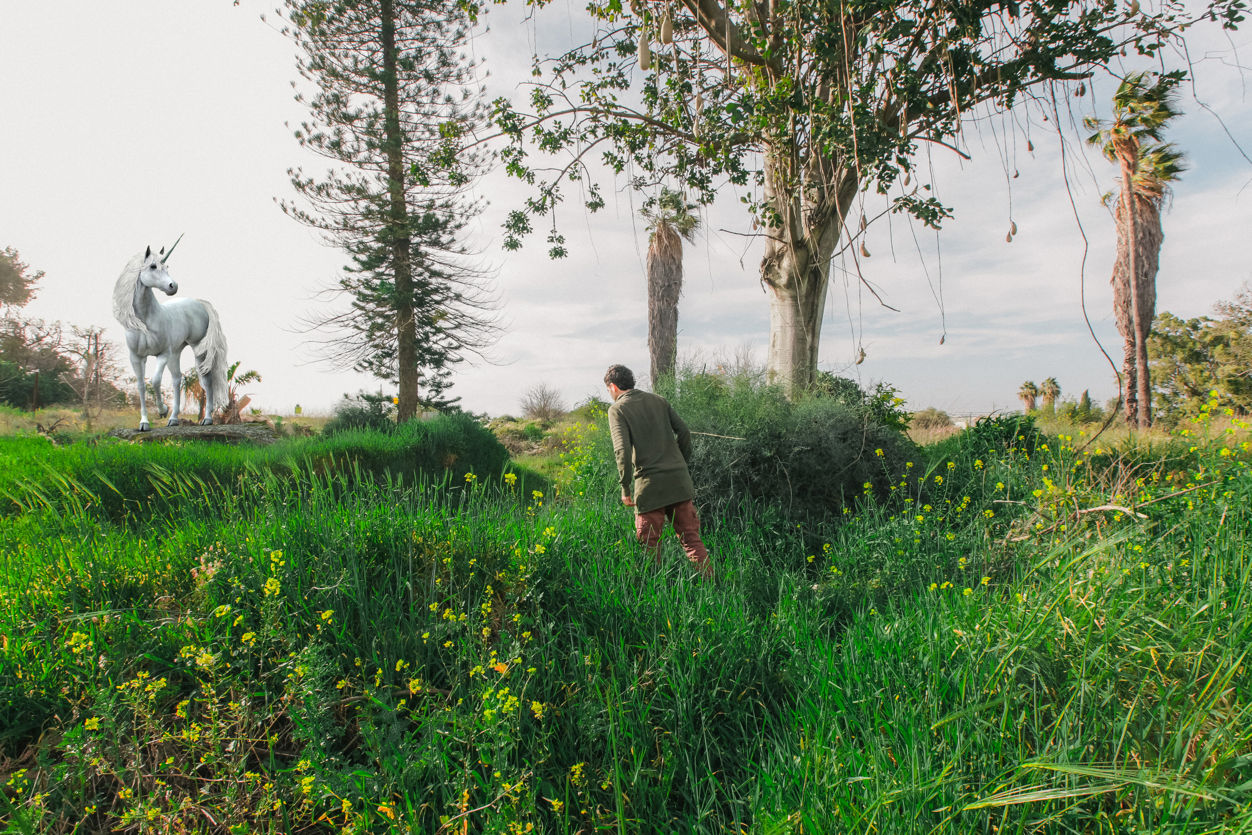 DOGS and their HUMANS. Photographer and videographer in Tel Aviv Mary Pann