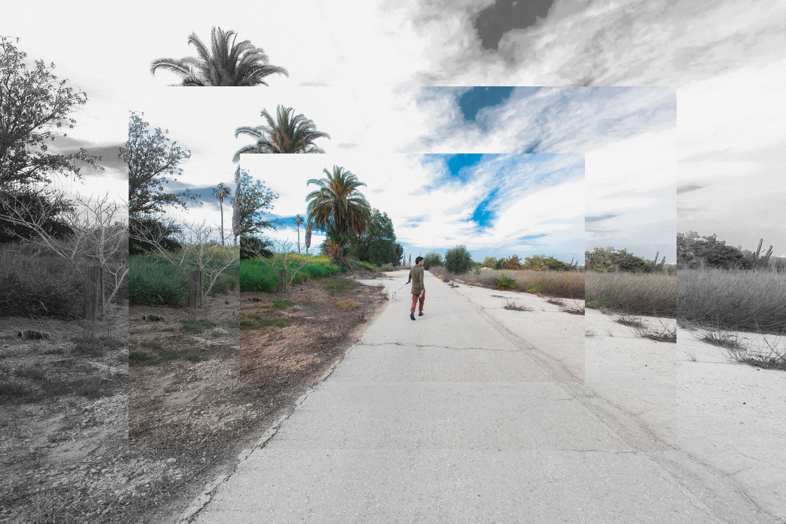 DOGS and their HUMANS. Photographer and videographer in Tel Aviv Mary Pann