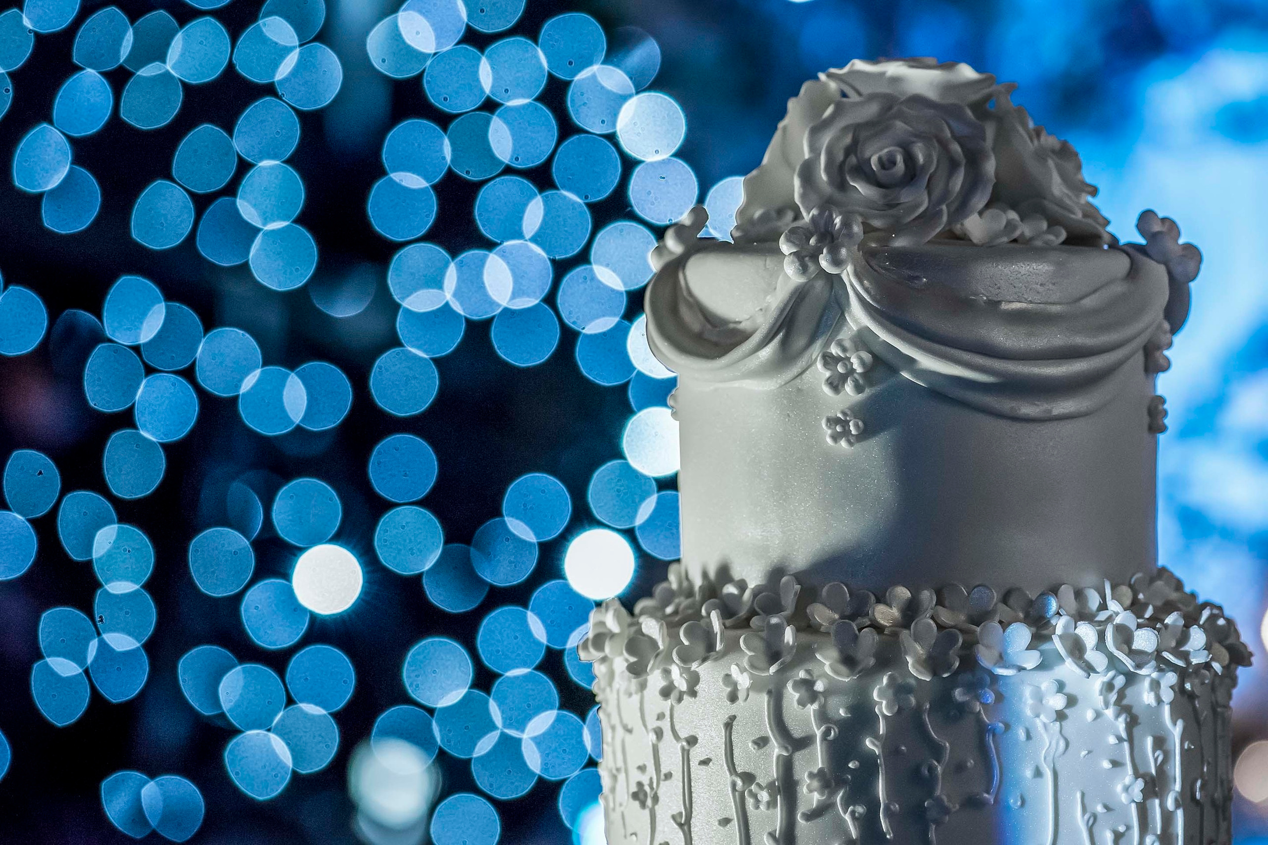 Wedding photographer Newland Manor,  Chalfont St Peter, UK Nikon D850 wedding reception