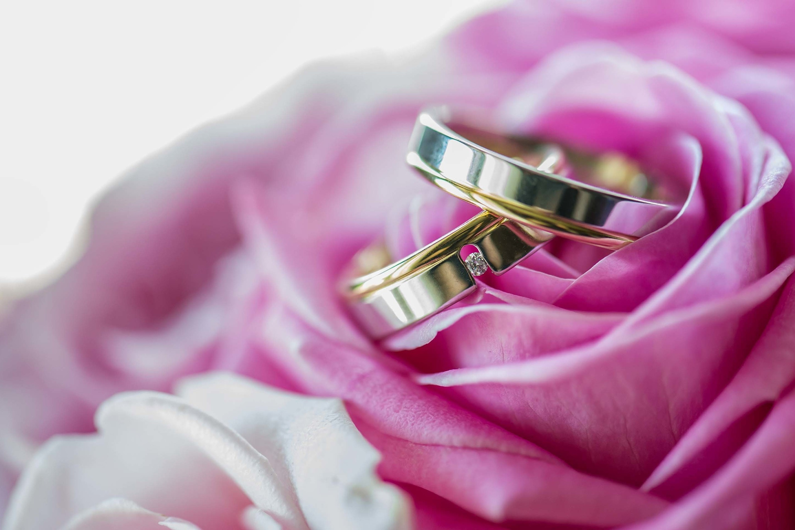 Wedding photographer Epoque Hotel, Bucharest Romania wedding rings on a rose Nikon D850