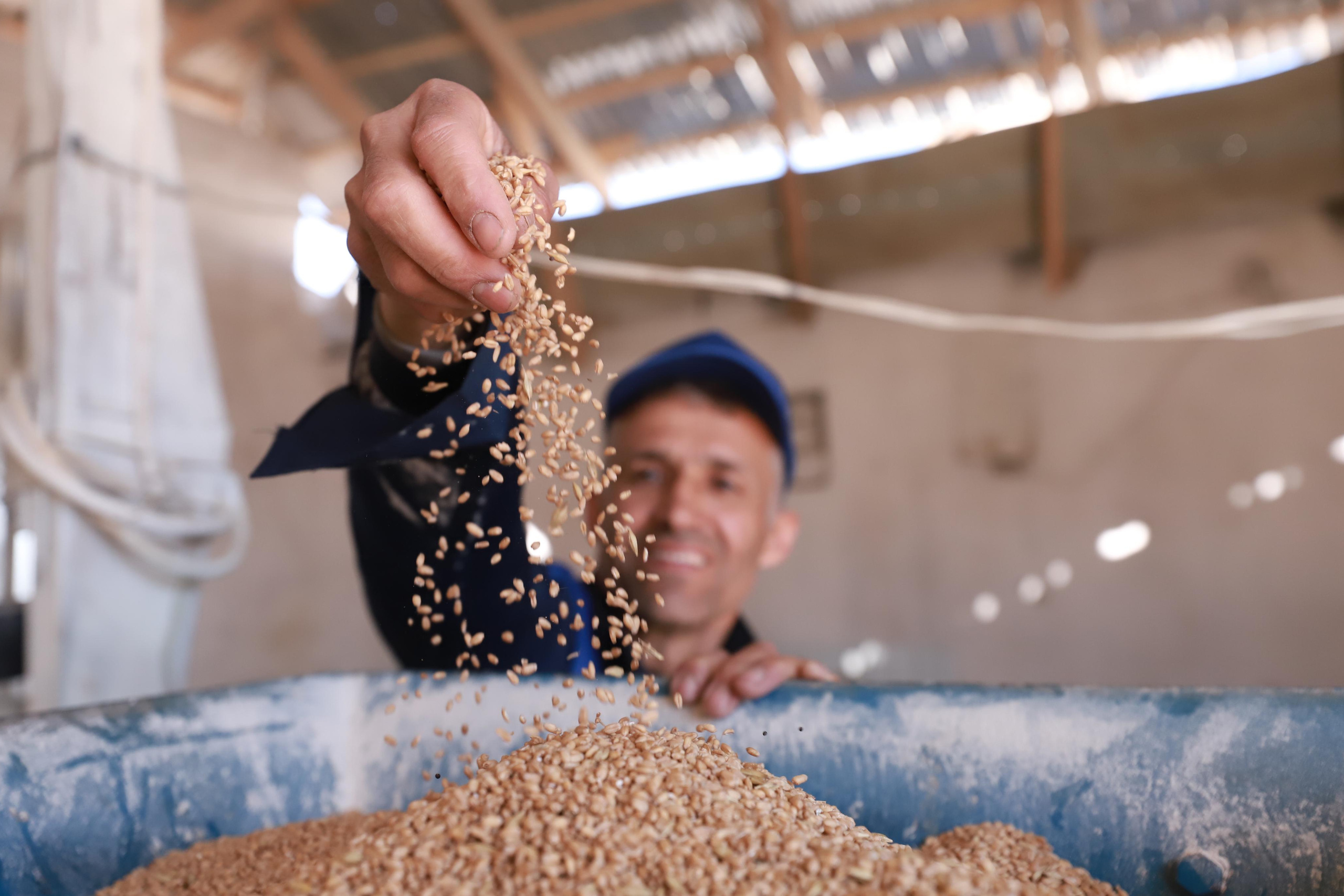 (UNDP) UNITED NATIONS DEVELOPMENT PROGRAMME