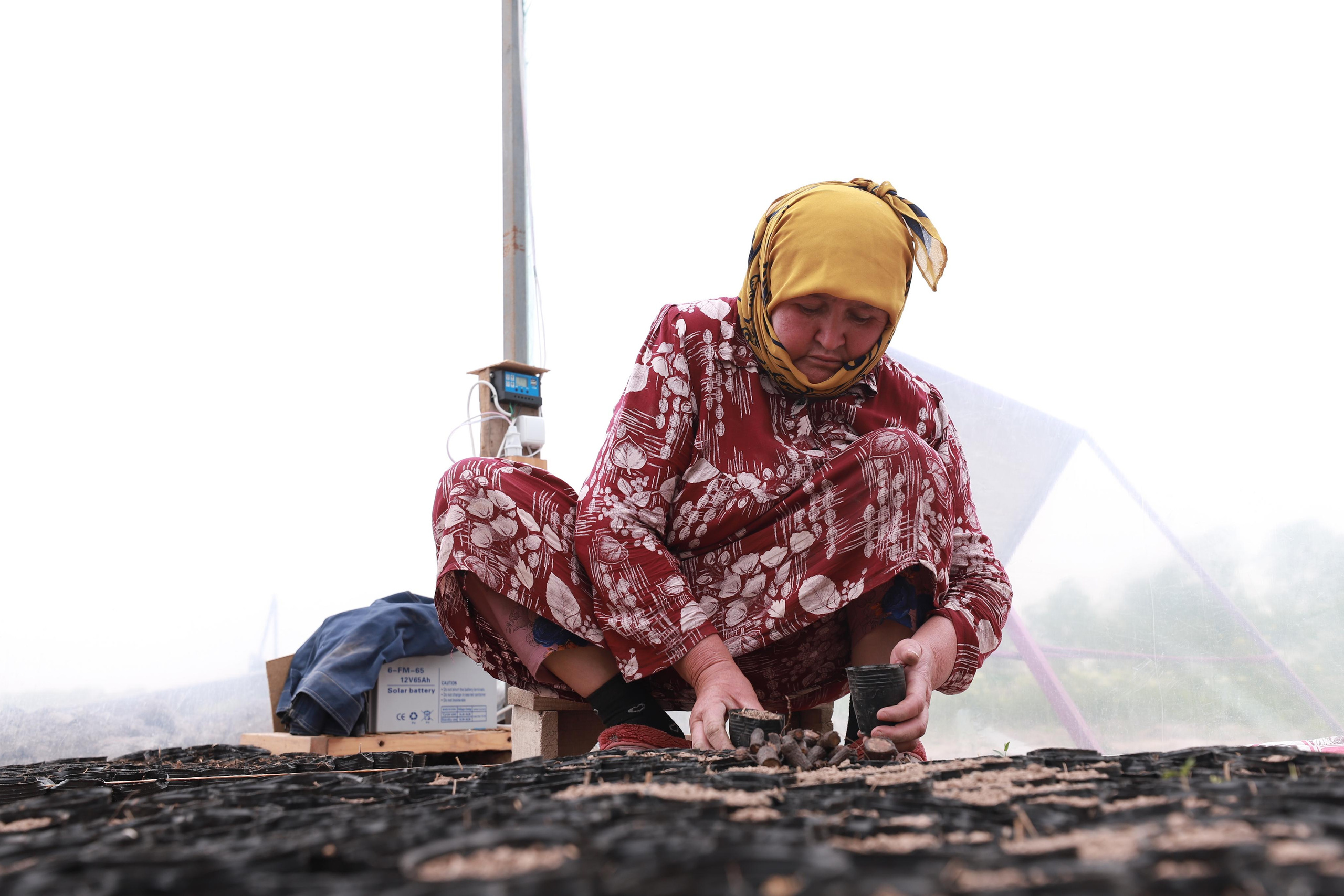BRITISH EMBASSY IN TAJIKISTAN