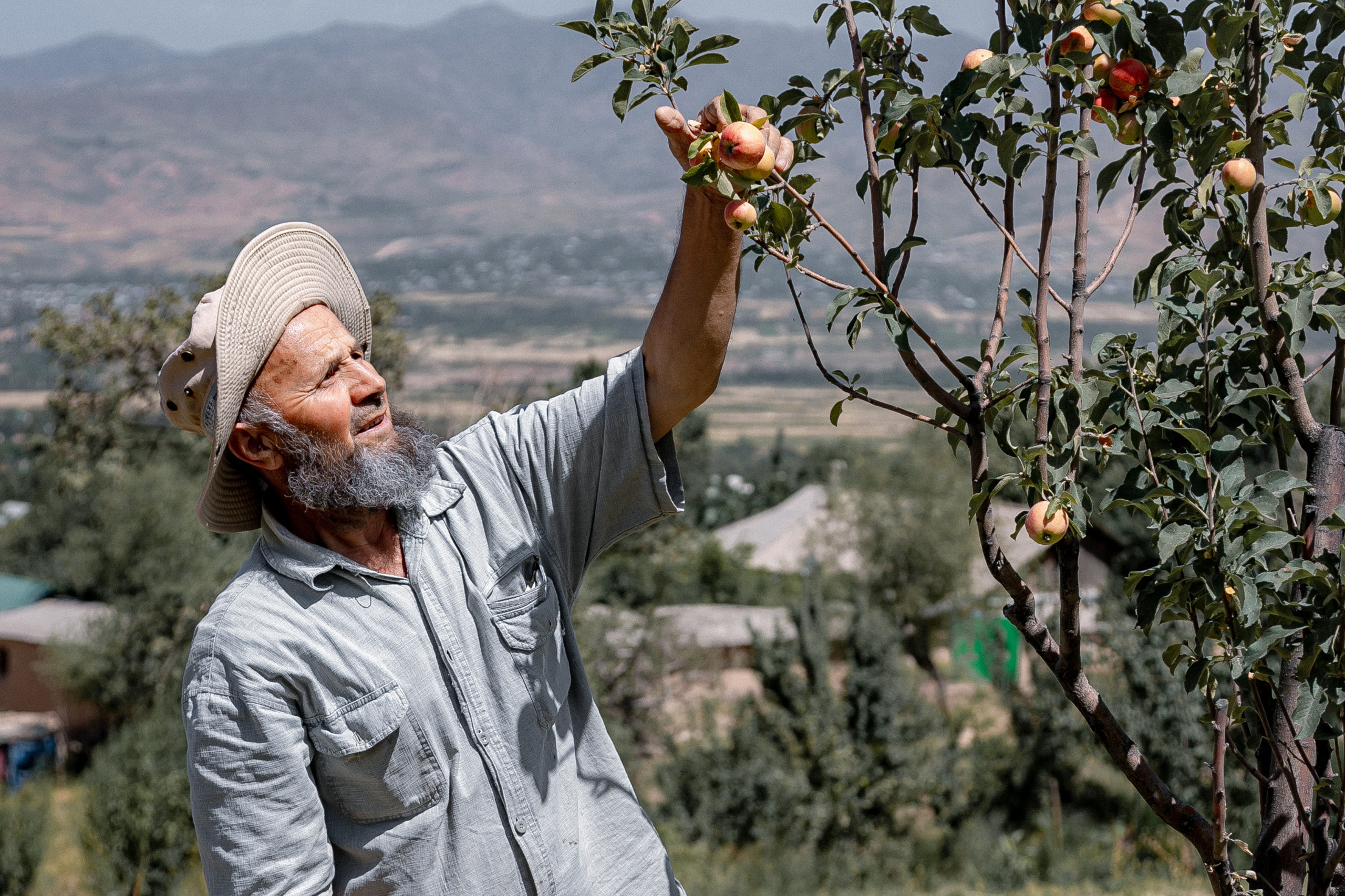 AGA KHAN FOUNDATION (Integrated Health and Habitat Improvement in Rasht Valley)