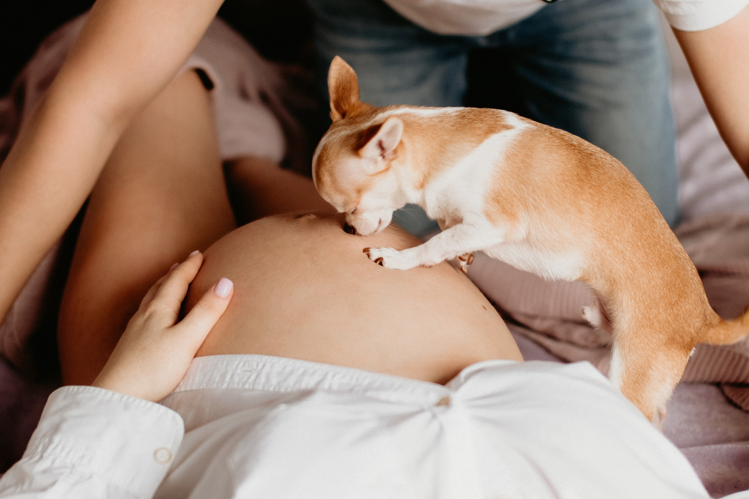 In Erwartung eines Wunders