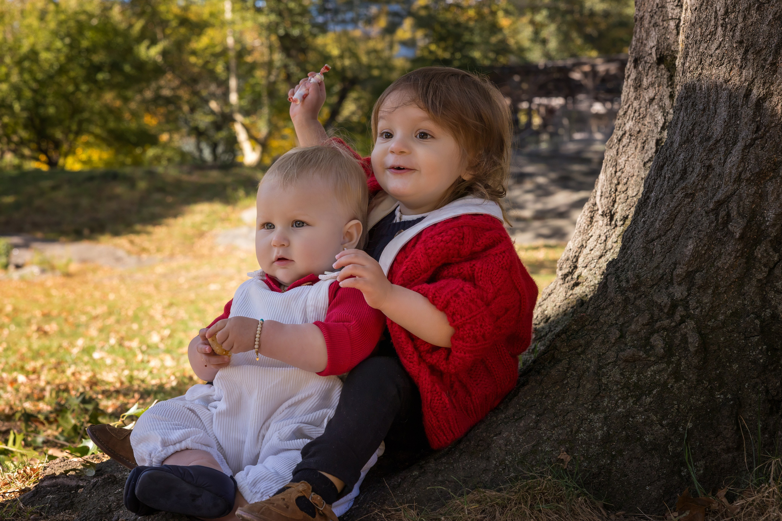 Little Moments, Big Love