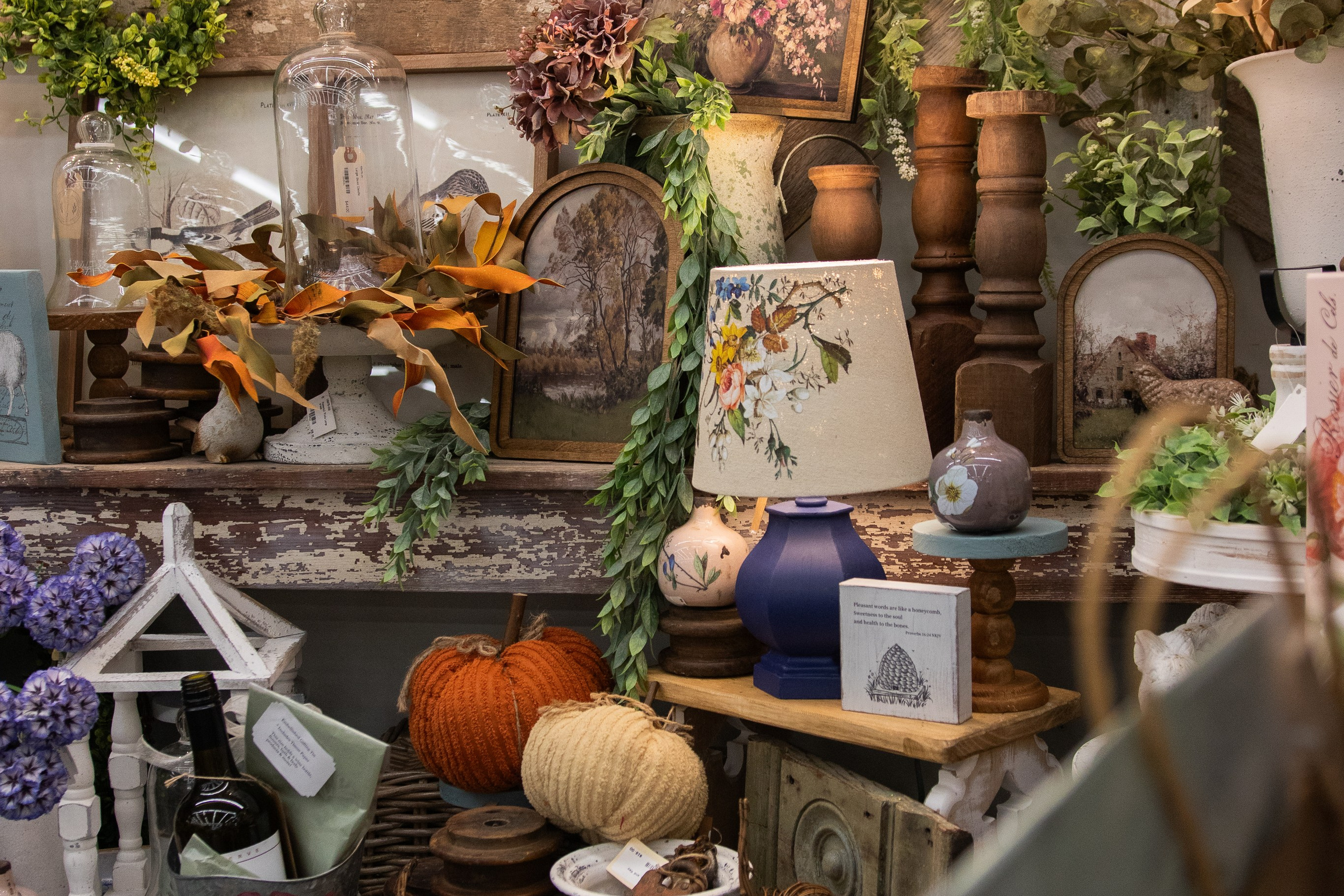 Painted Tree Boutiques Fall '25