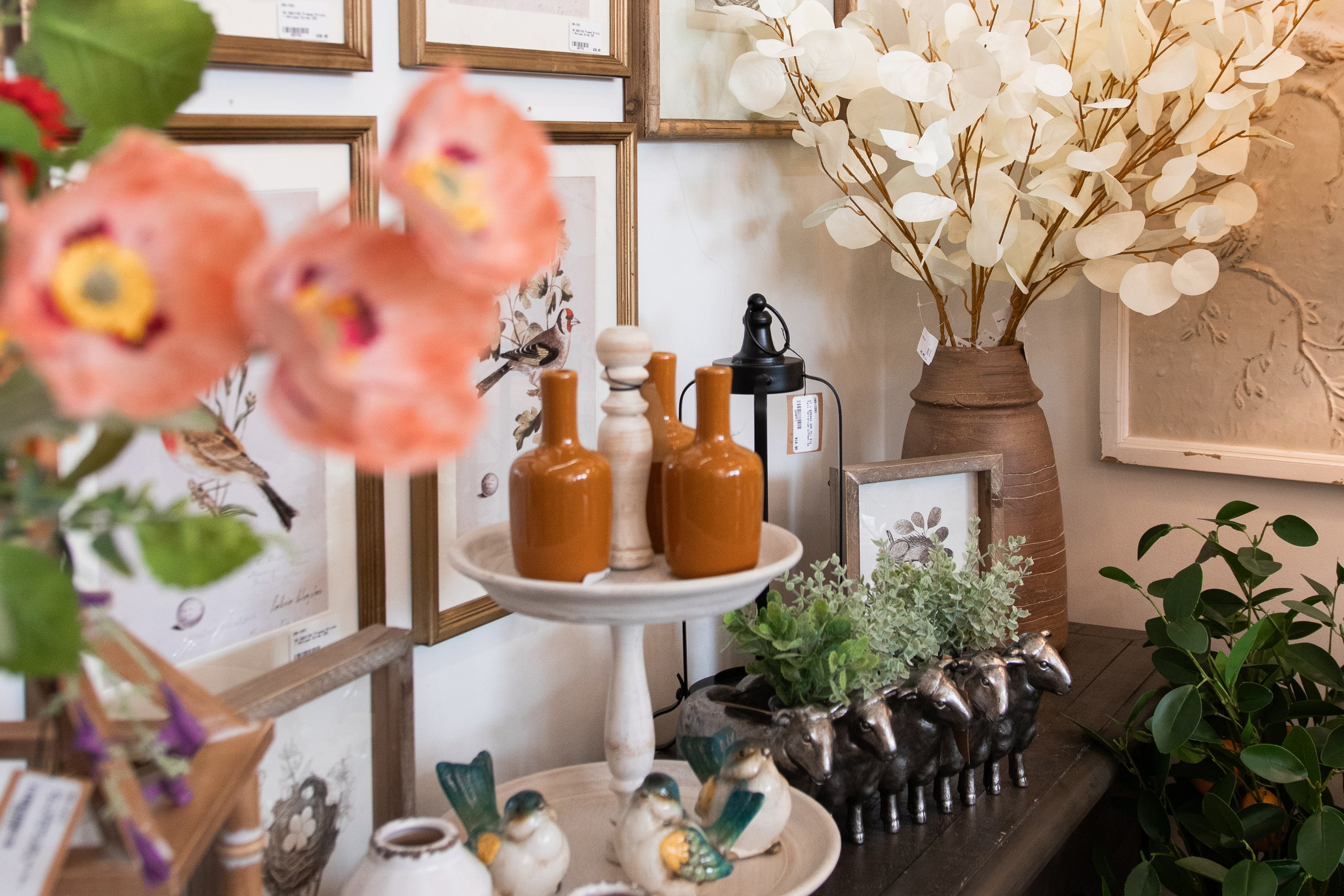 Painted Tree Boutiques Summer '25