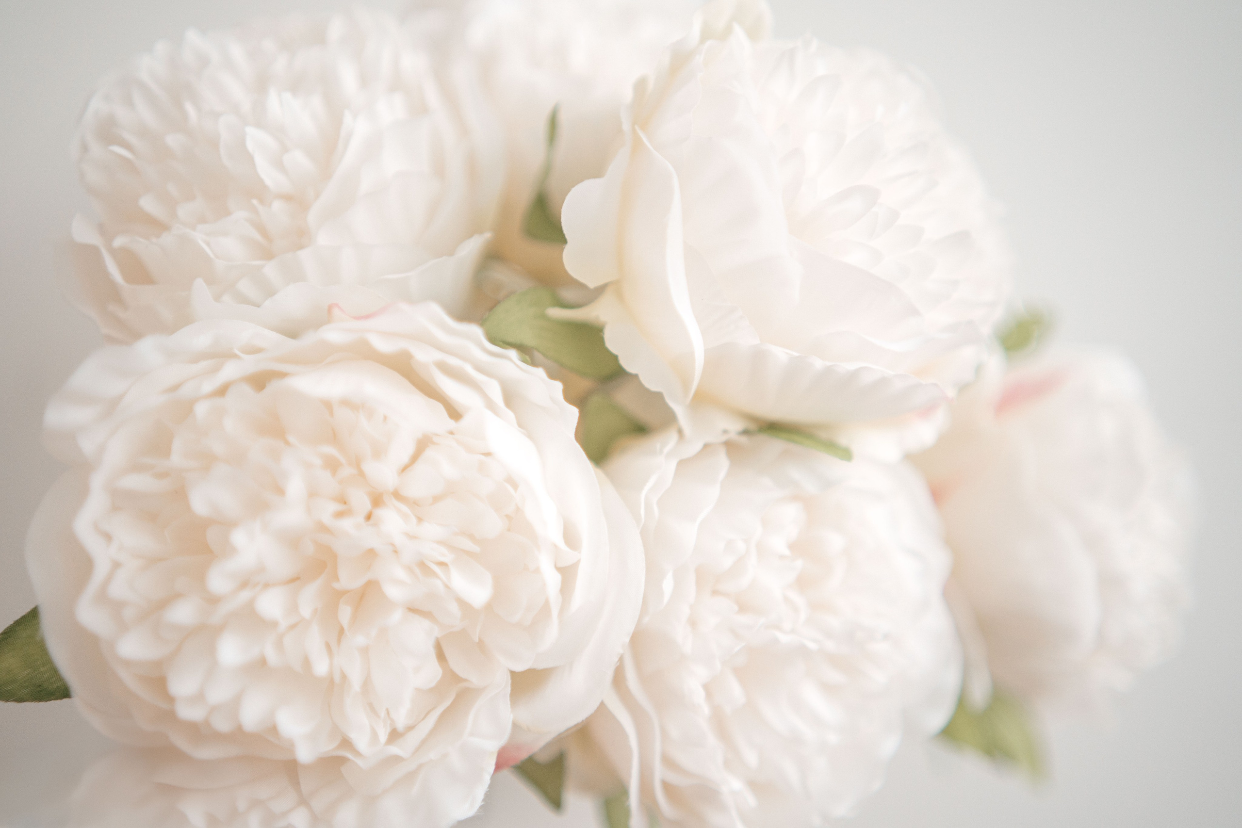 Why Family Photography?| Burnaby Portrait Photographer