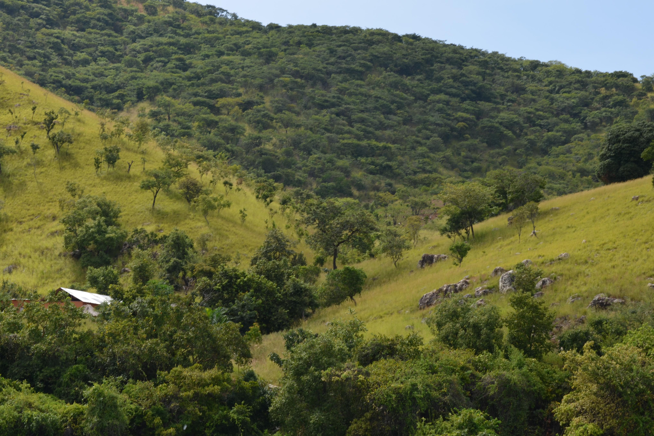 Afrique Centrale (paysages, animaux)