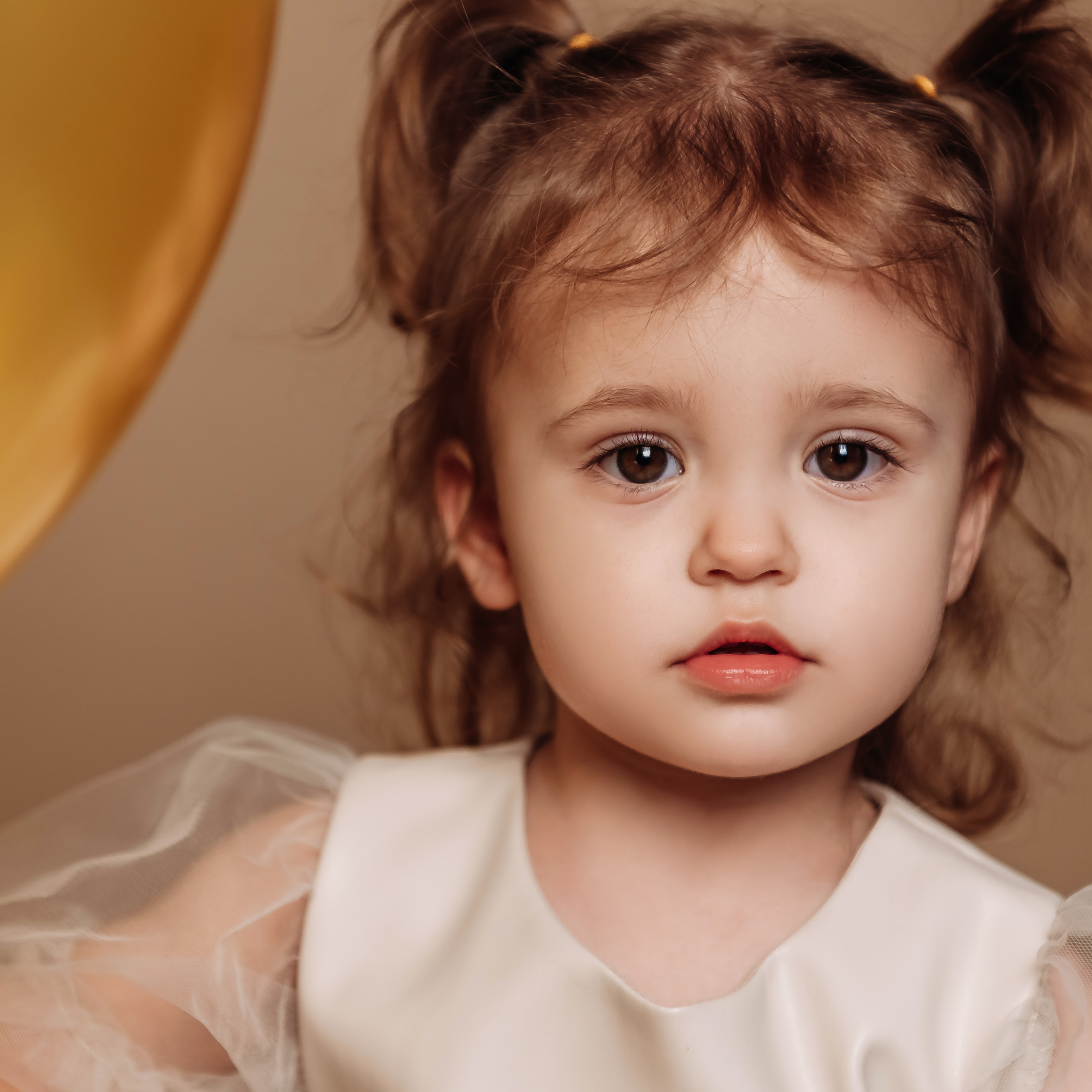 Влада 2 роки