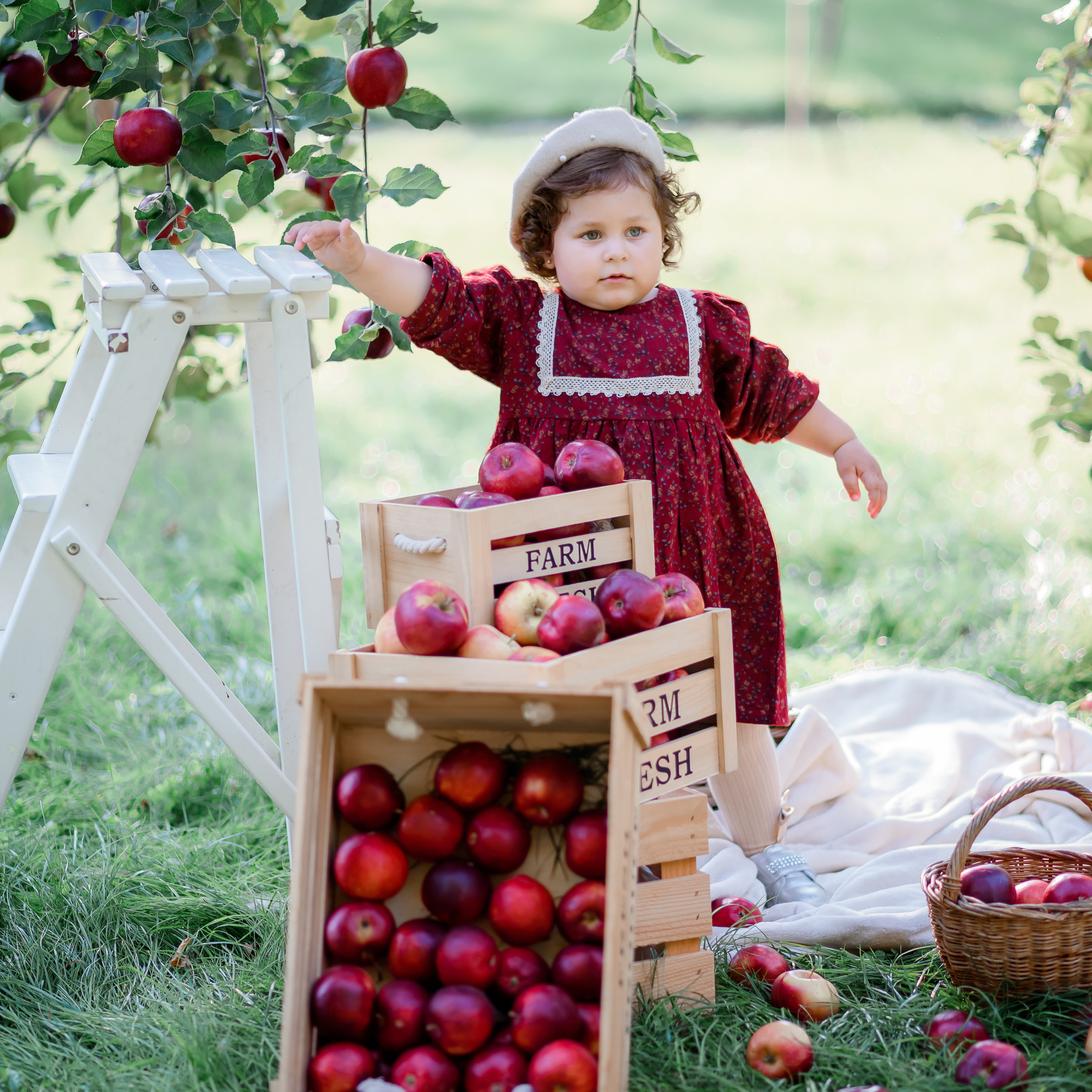 Збір врожаю (з яблоками та кавунами)