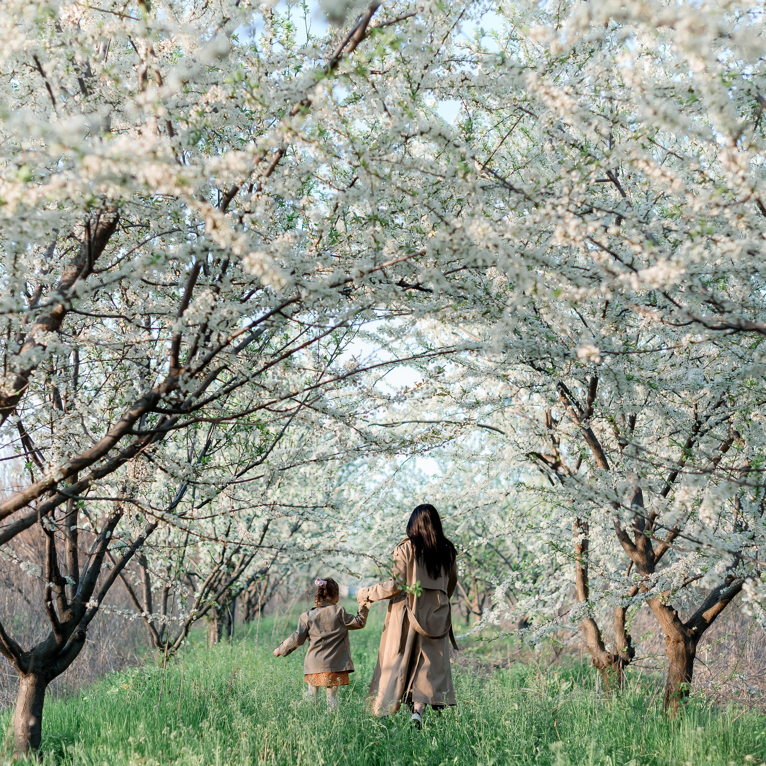 Фотосесія у квітучому саду