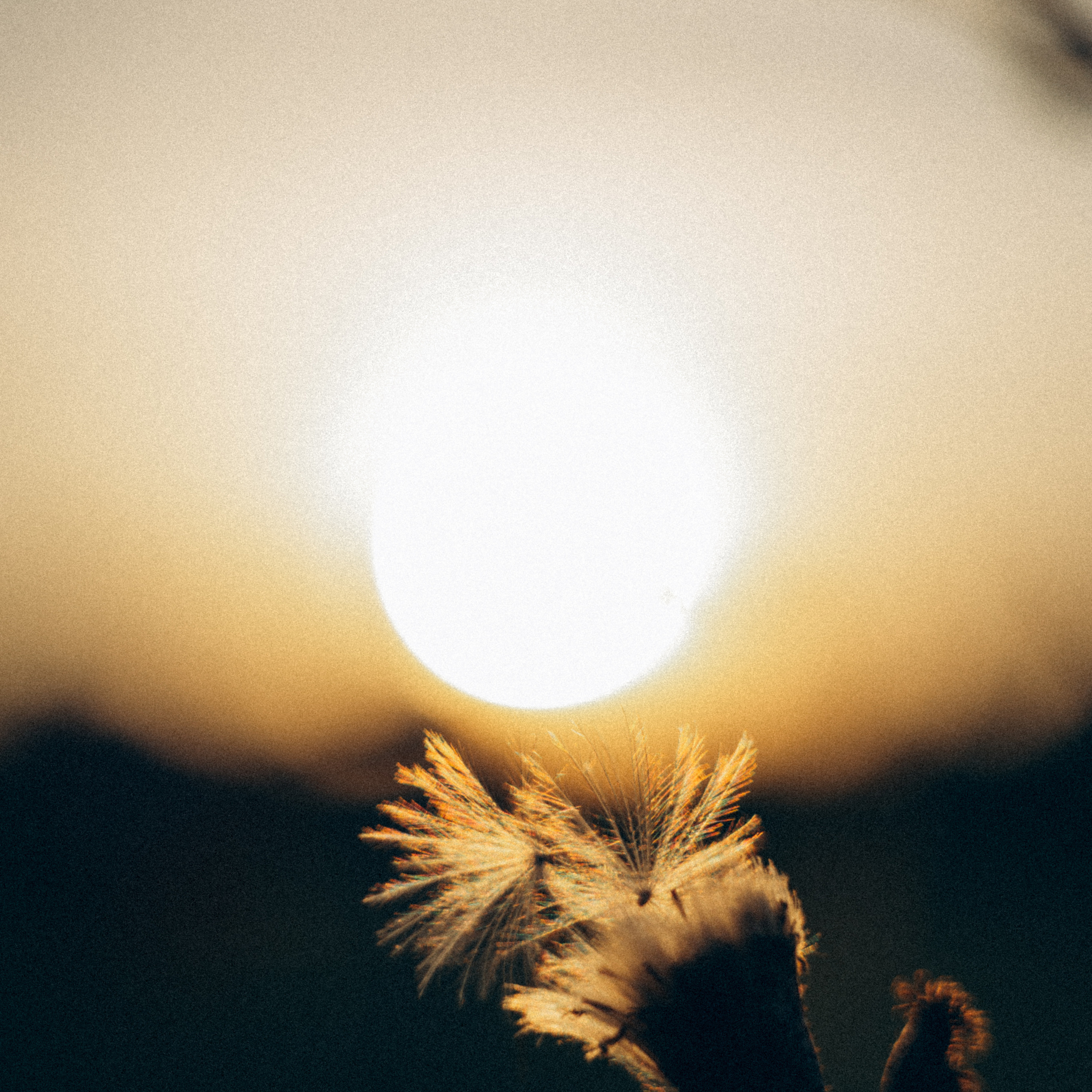 Відгуки. Фотограф Львів | Портретна фотозйомка| Лав сторі фотосесія