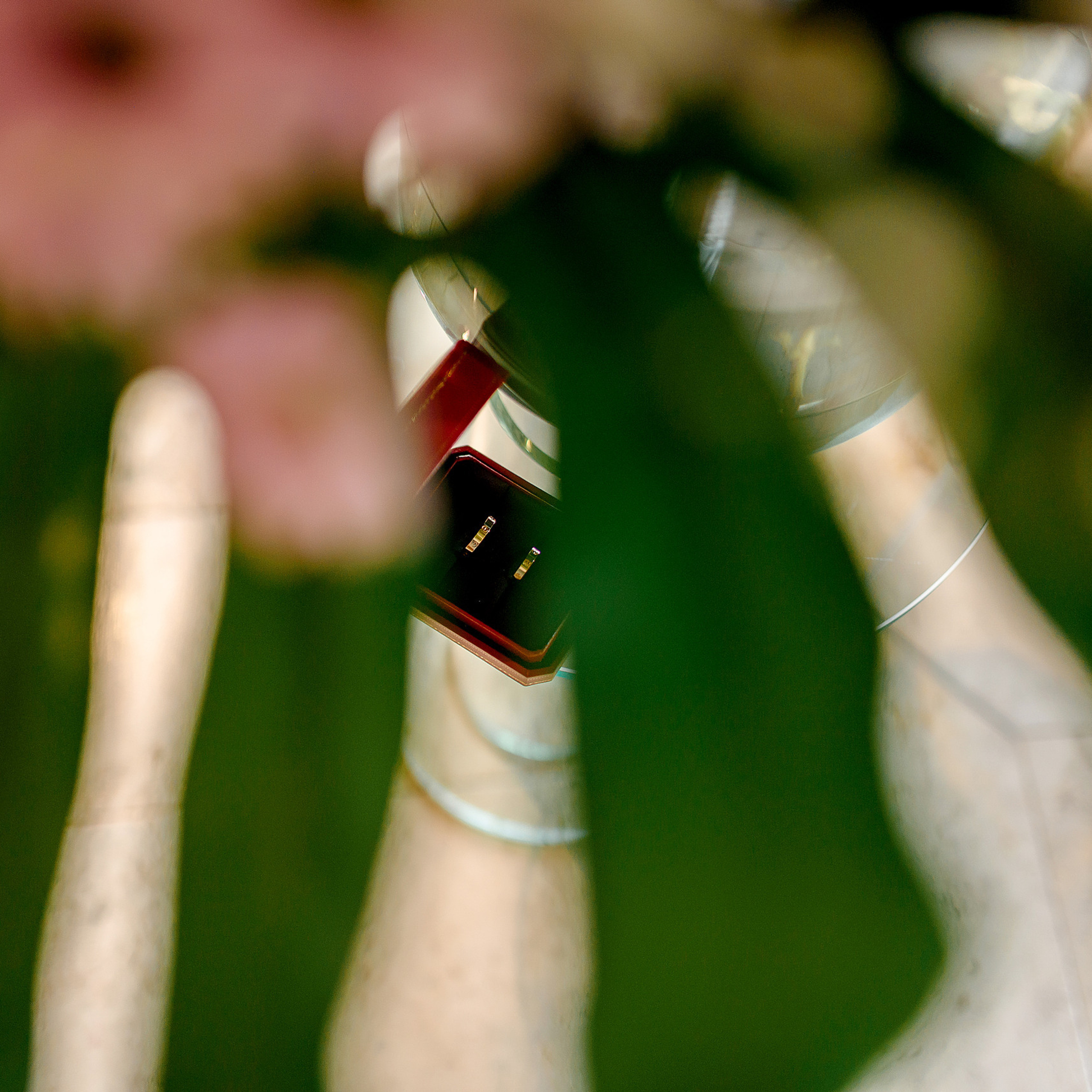 Reviews. Wedding and family photographer