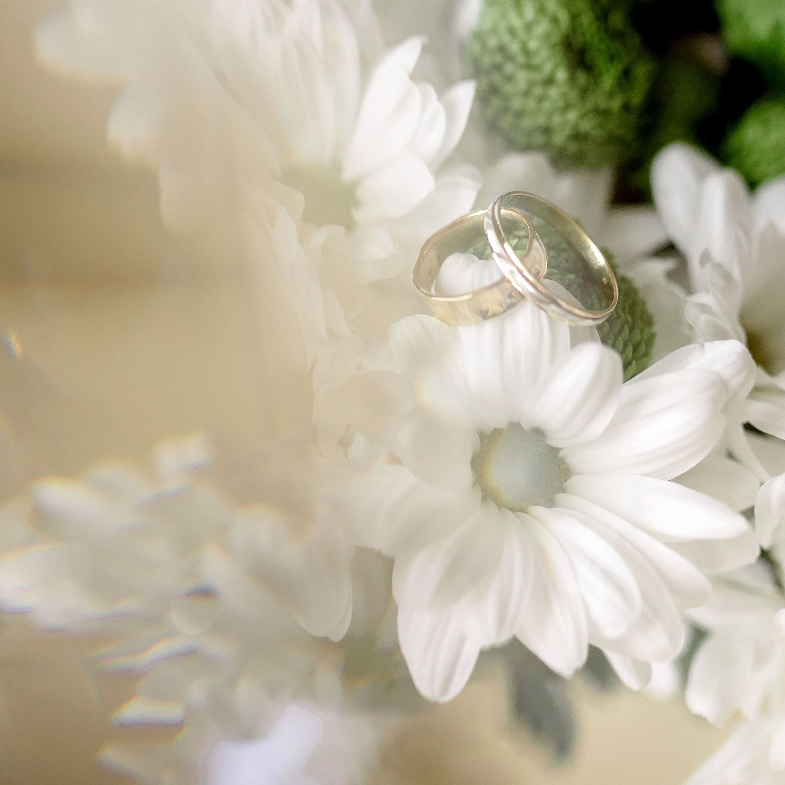 Reviews. Wedding and family photographer