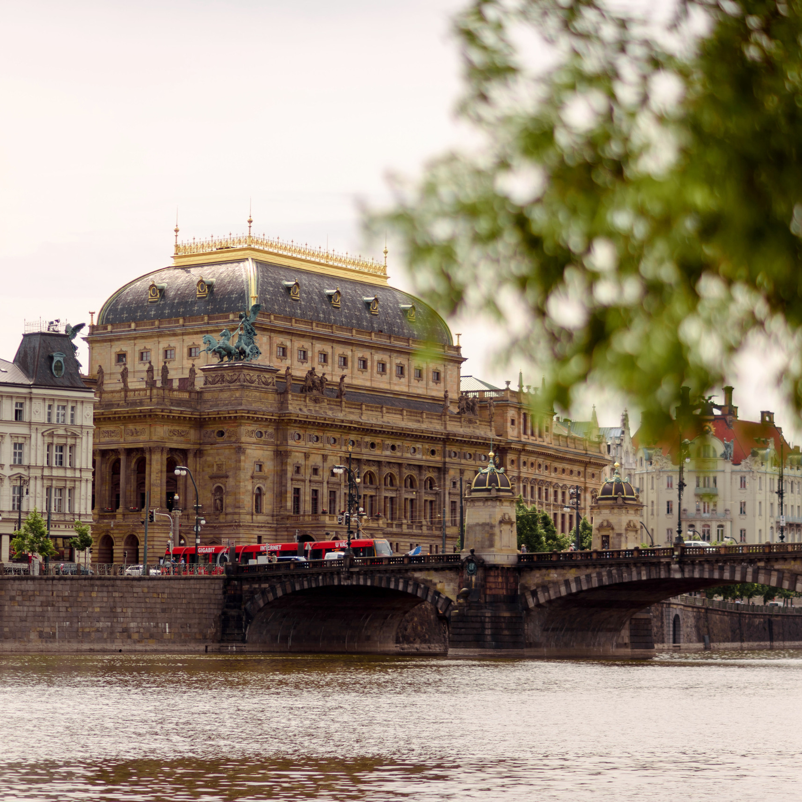 Reviews. Wedding and family photographer