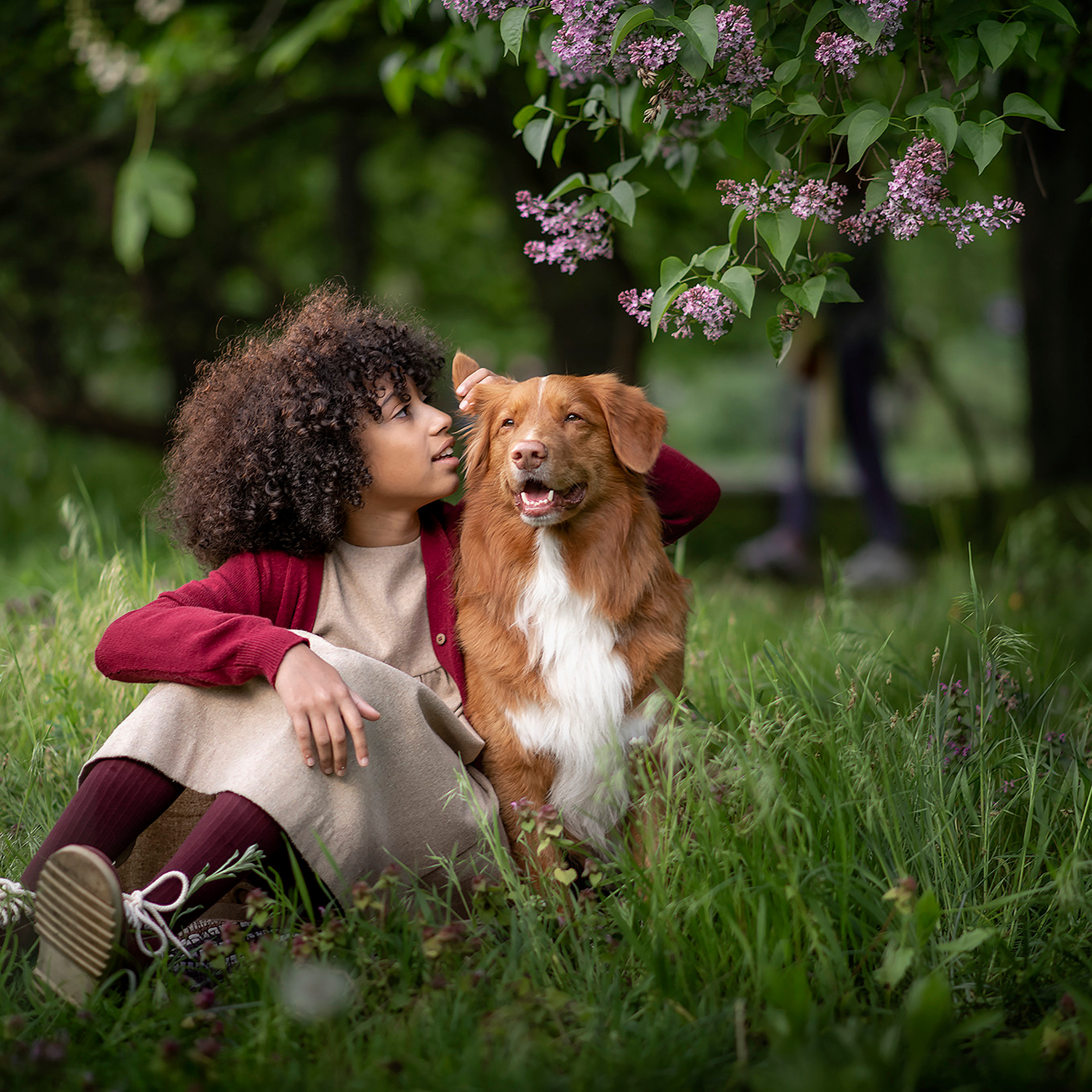 Яблуневі історії