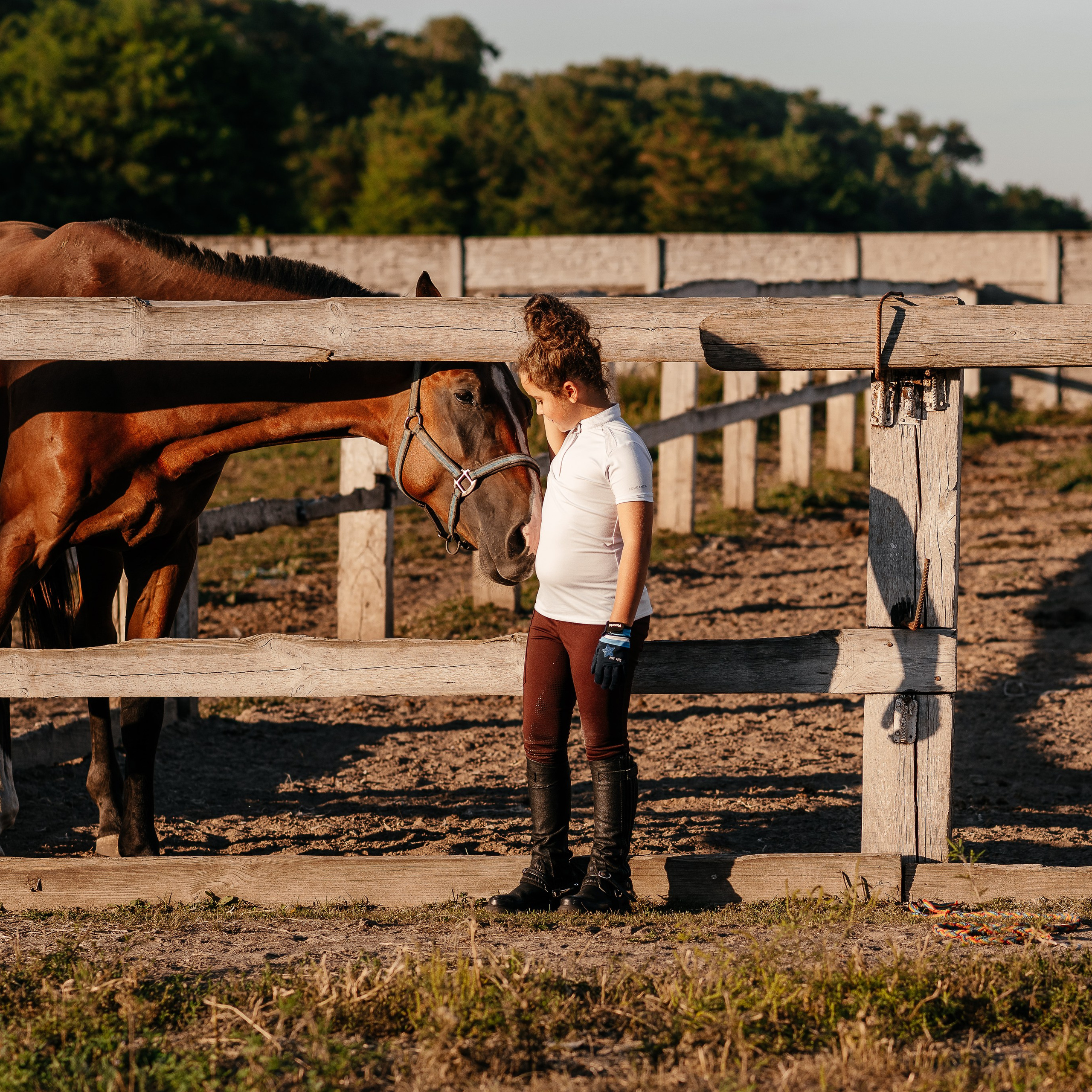 Маленька історія Еміліі