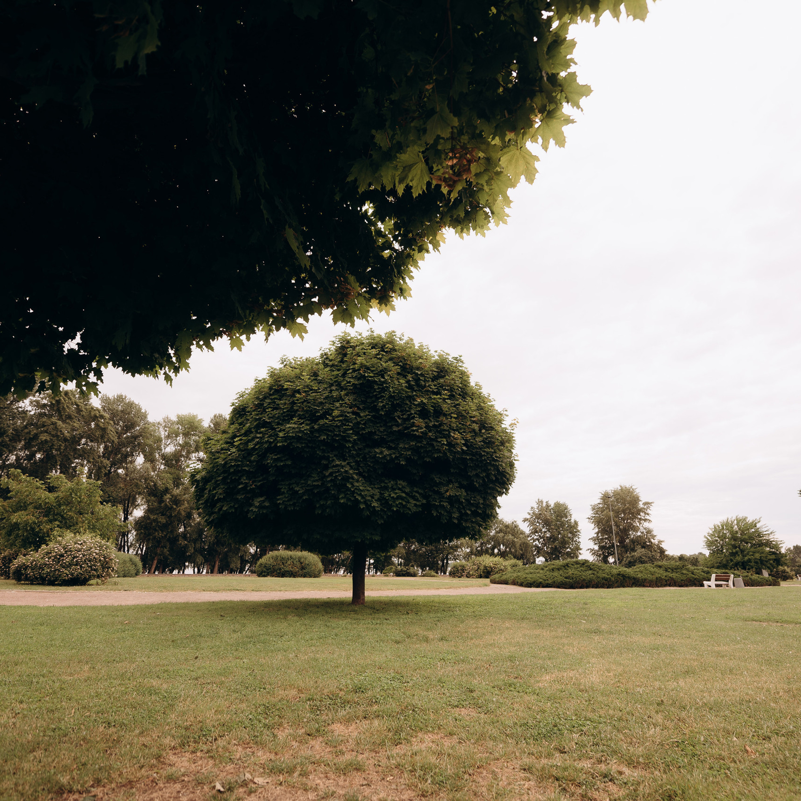 Свадебный фотограф Черкассы Киев. Весільний фотограф Черкаси Україна Вадим Биць