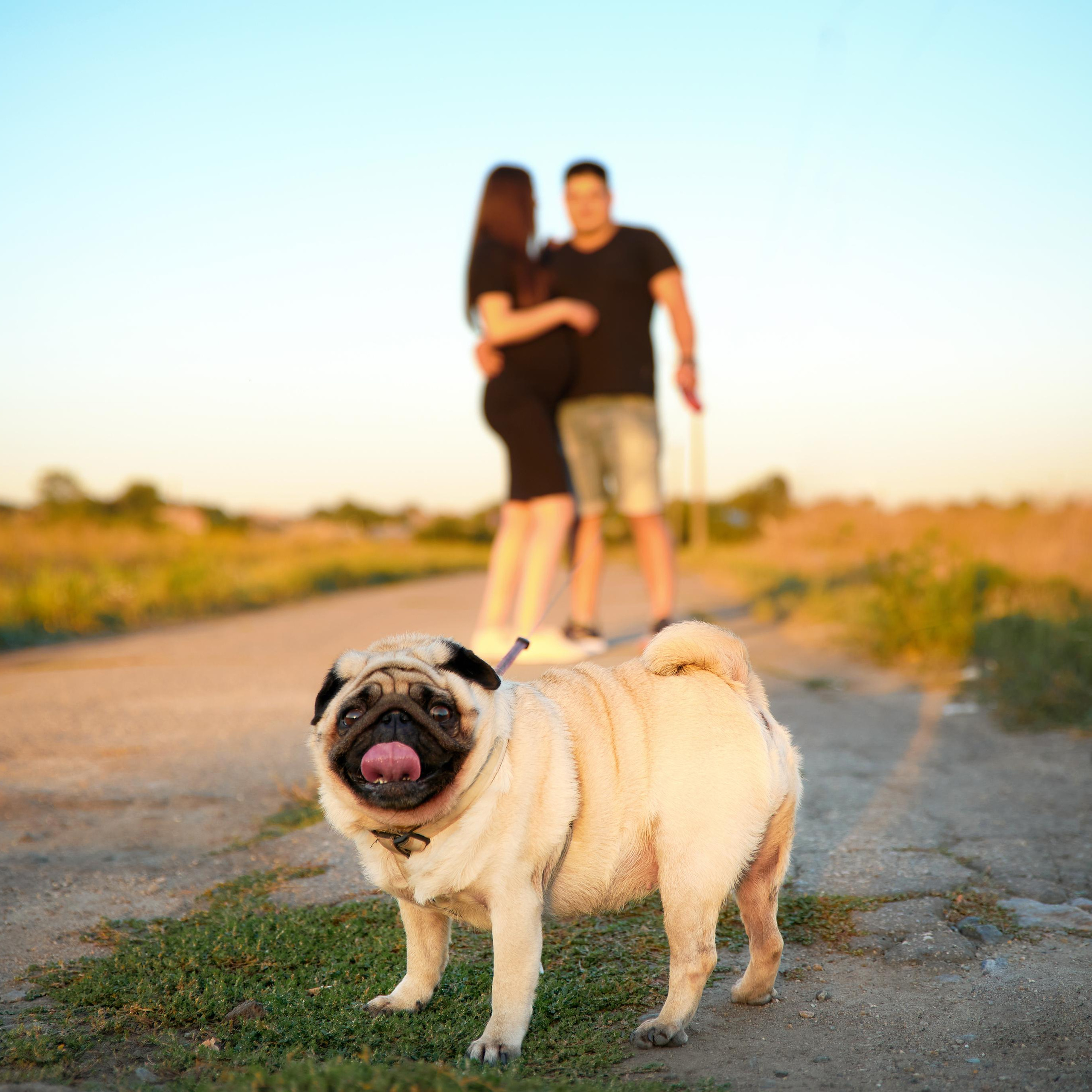 Андрей & Анна